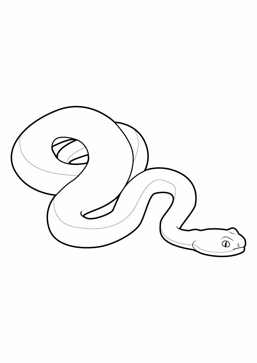 coloriage Gulli Serpent 4