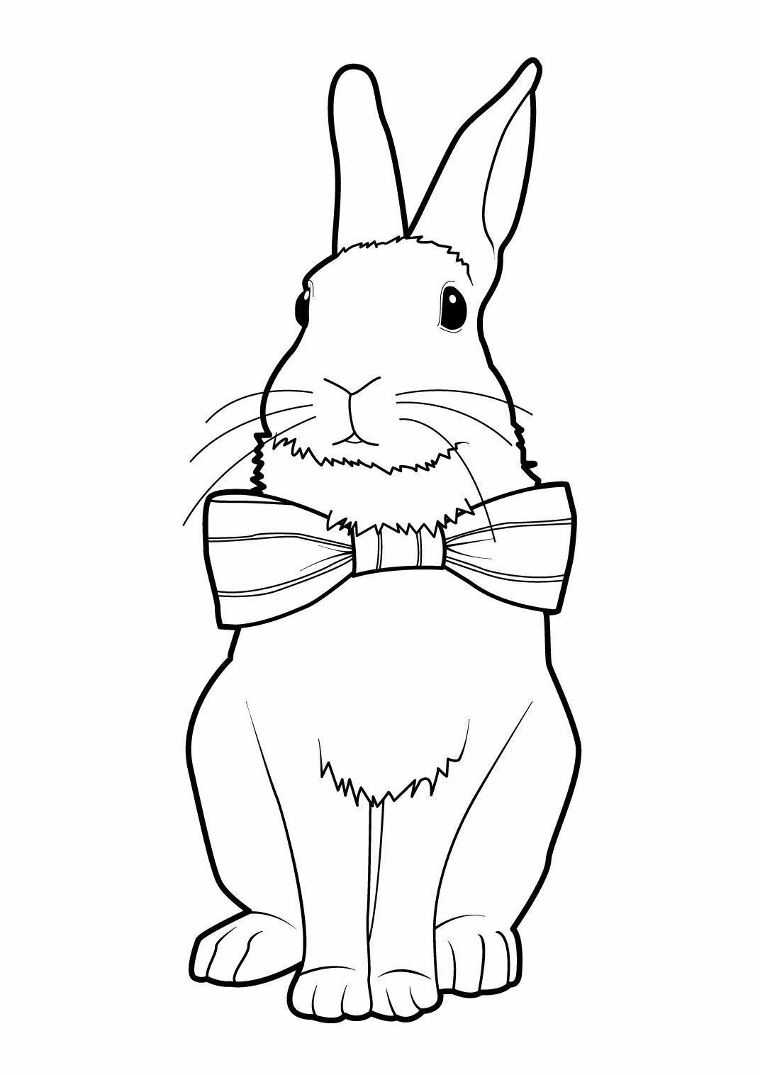 coloriage Lapin 9