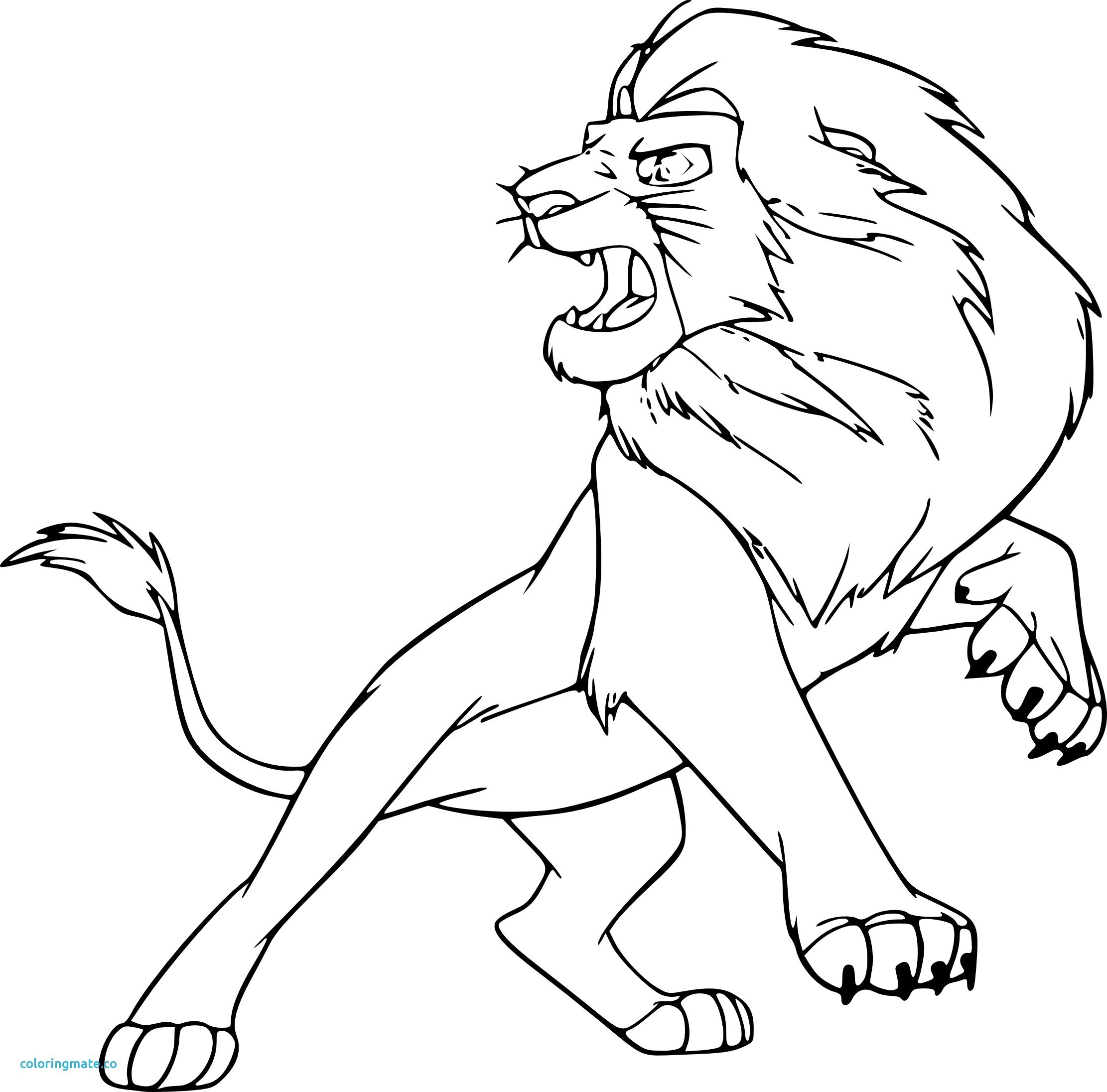 coloriage Animaux Lion de Gulli