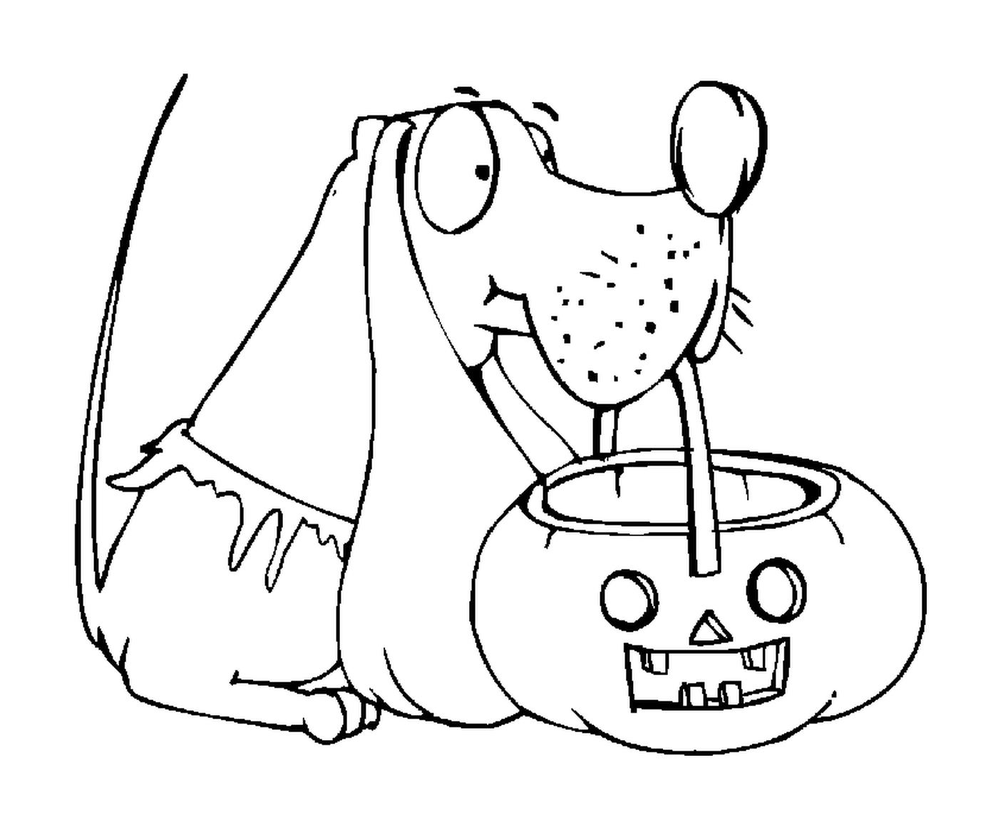 un chien avec sa citrouille d Halloweeny pour avoir des os