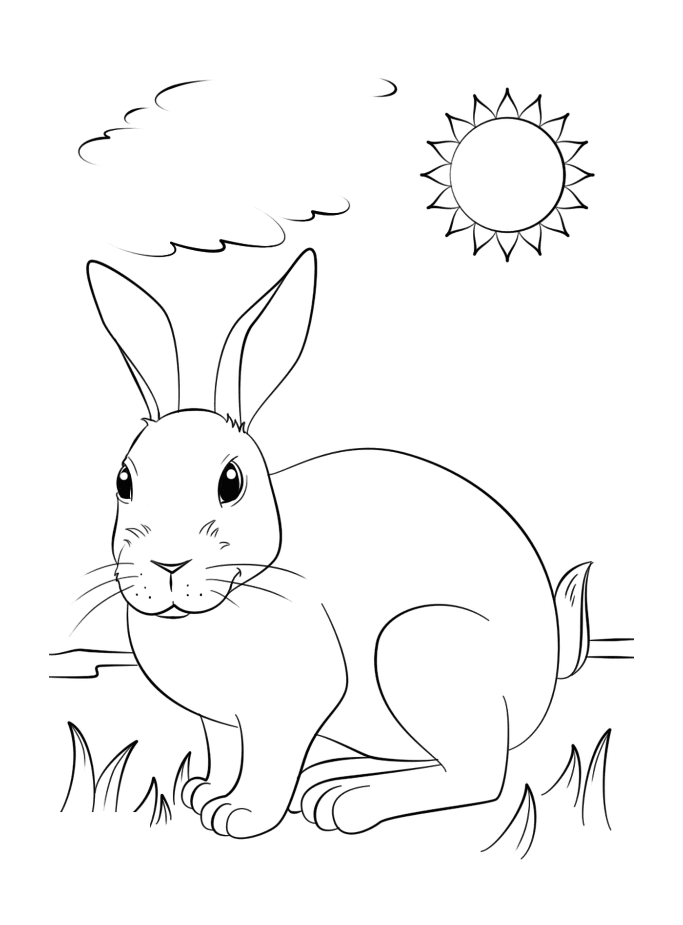 coloriage un lapin realiste profite du soleil
