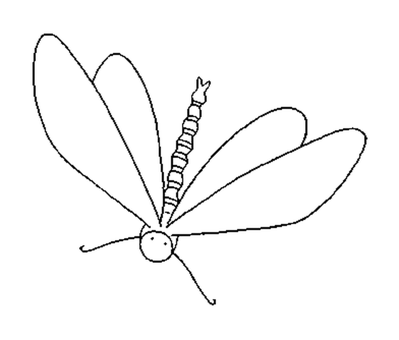 coloriage dessin d une libellule