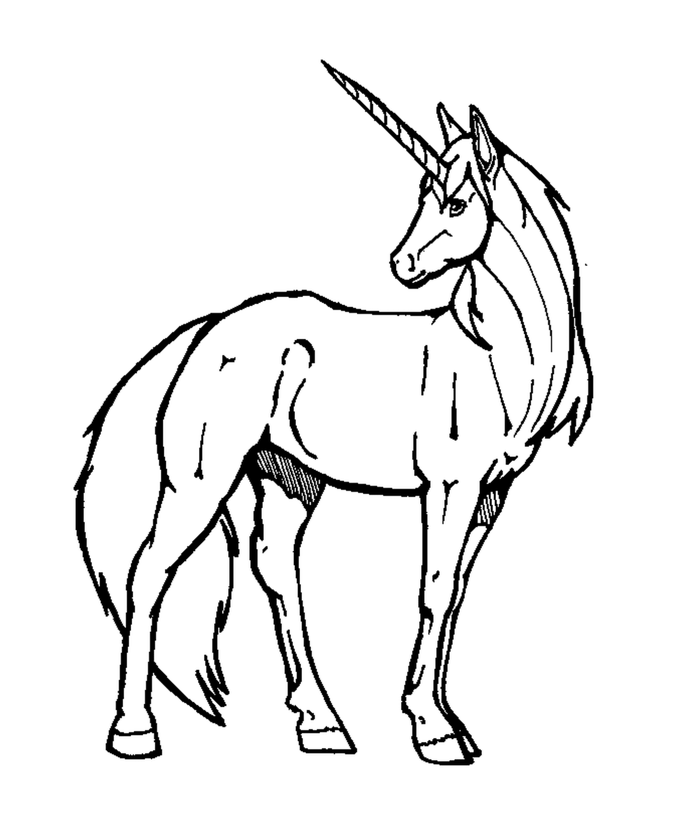 coloriage un cheval avec une corne sur le front