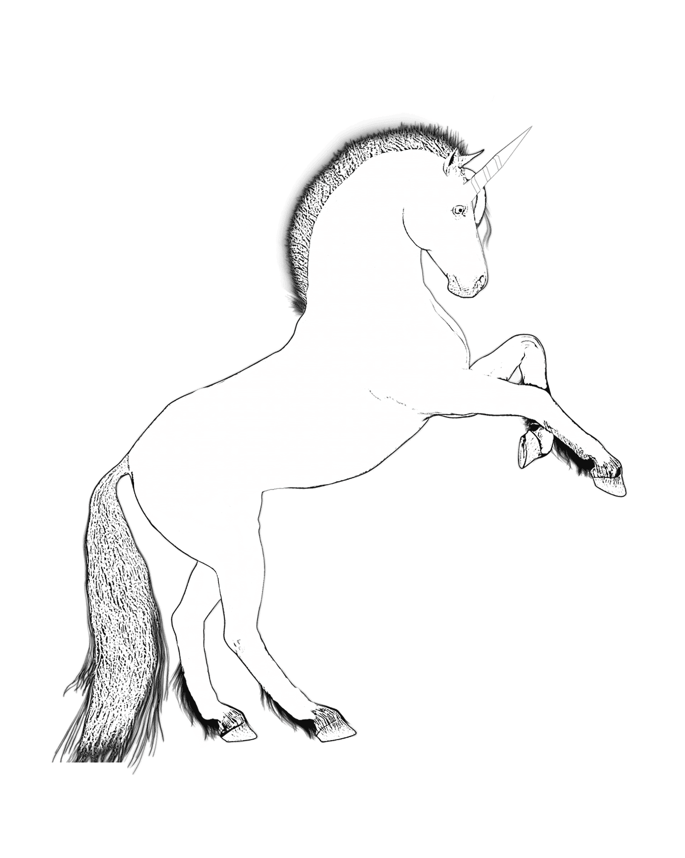 horse with a single straight horn