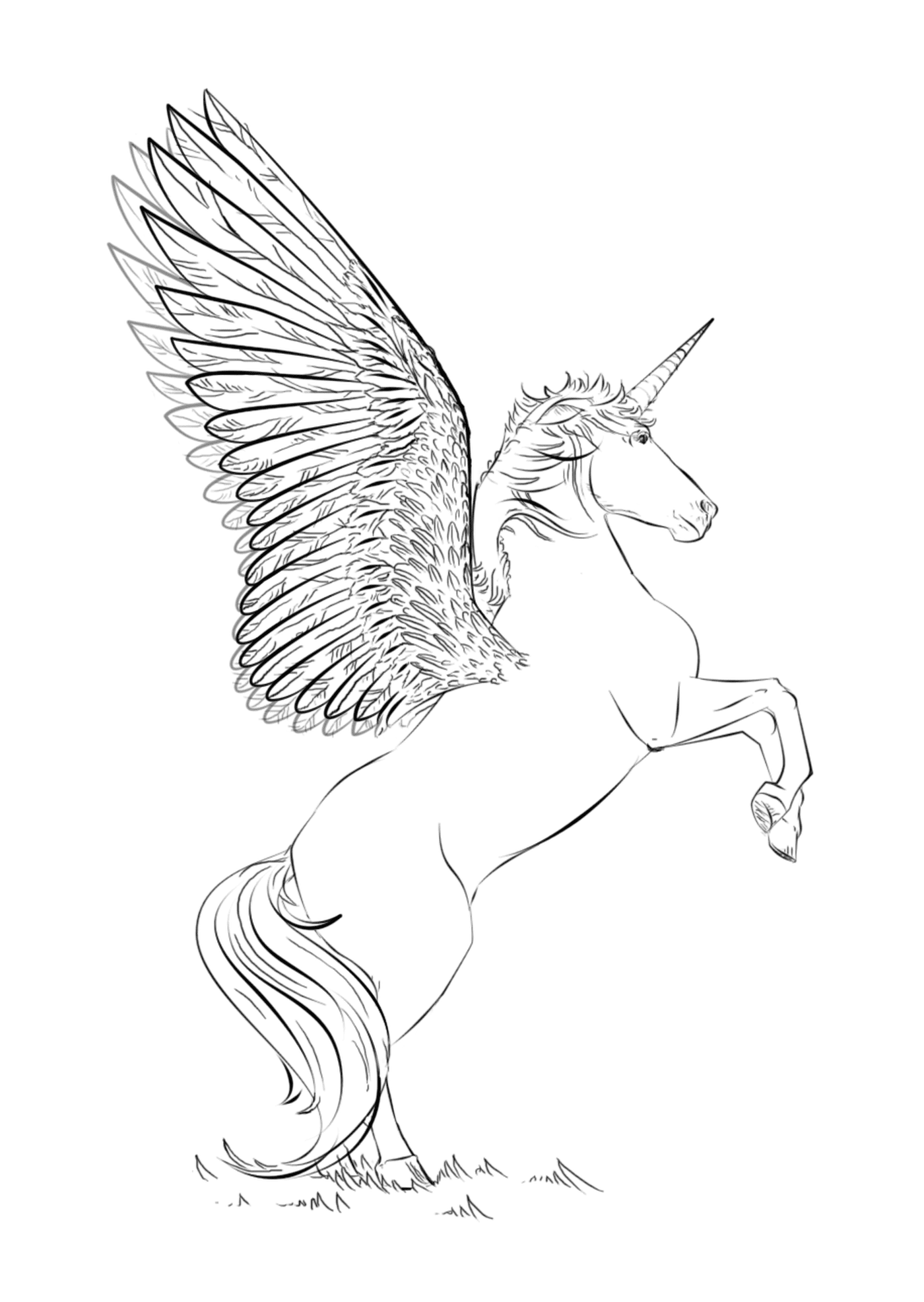 coloriage licorne beautiful wings by Lena London
