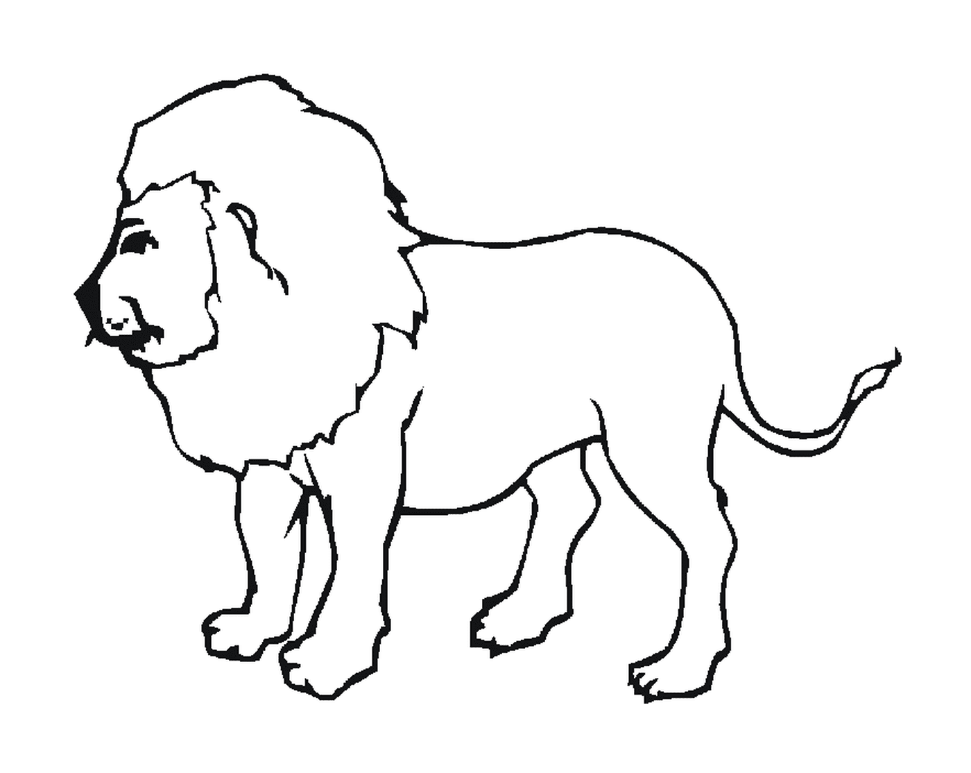 coloriage Barbary Lion