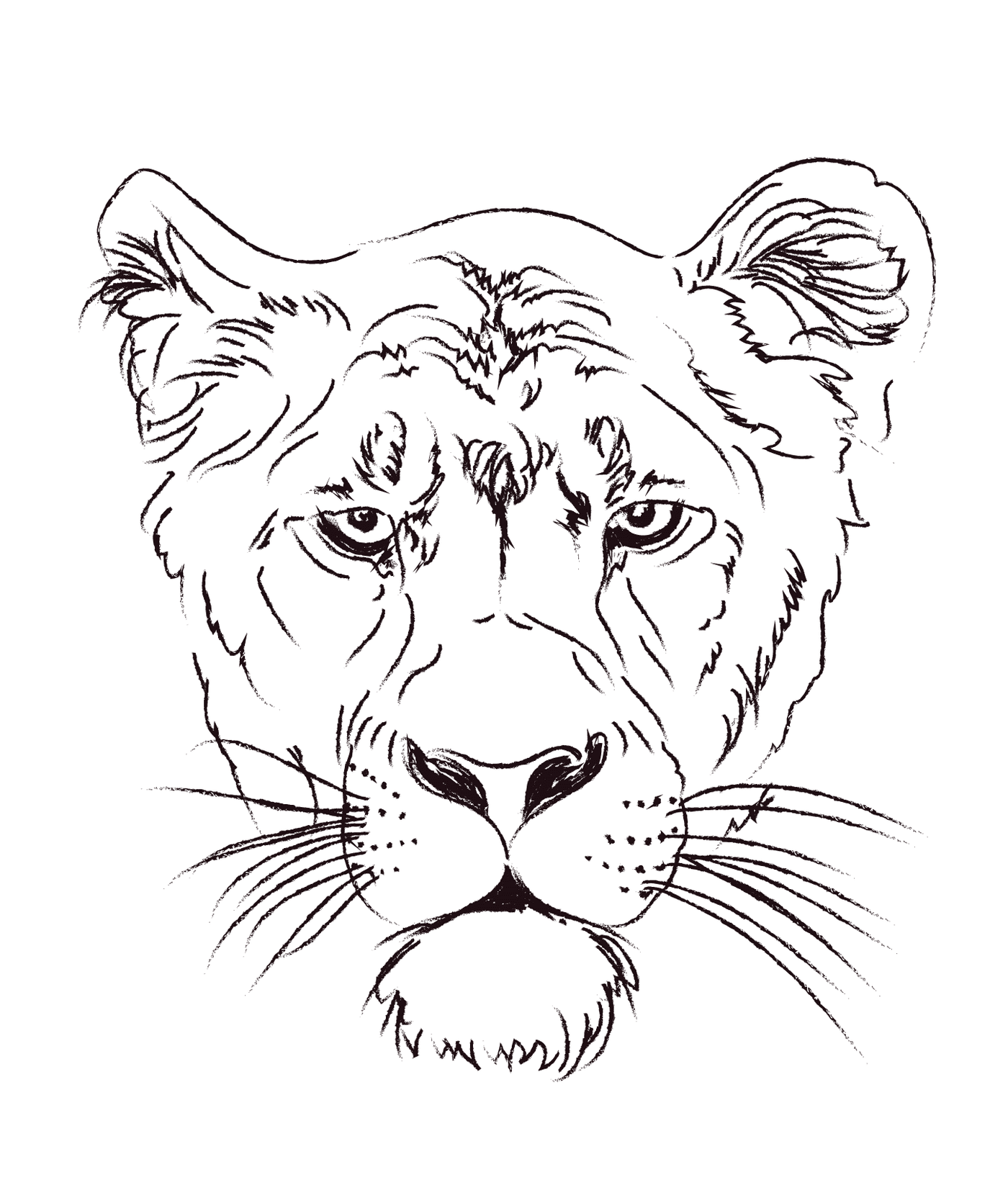 lioness head