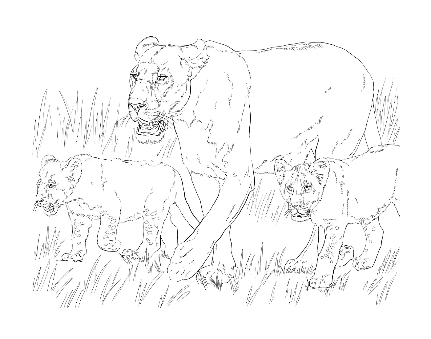 coloriage lioness with cubs
