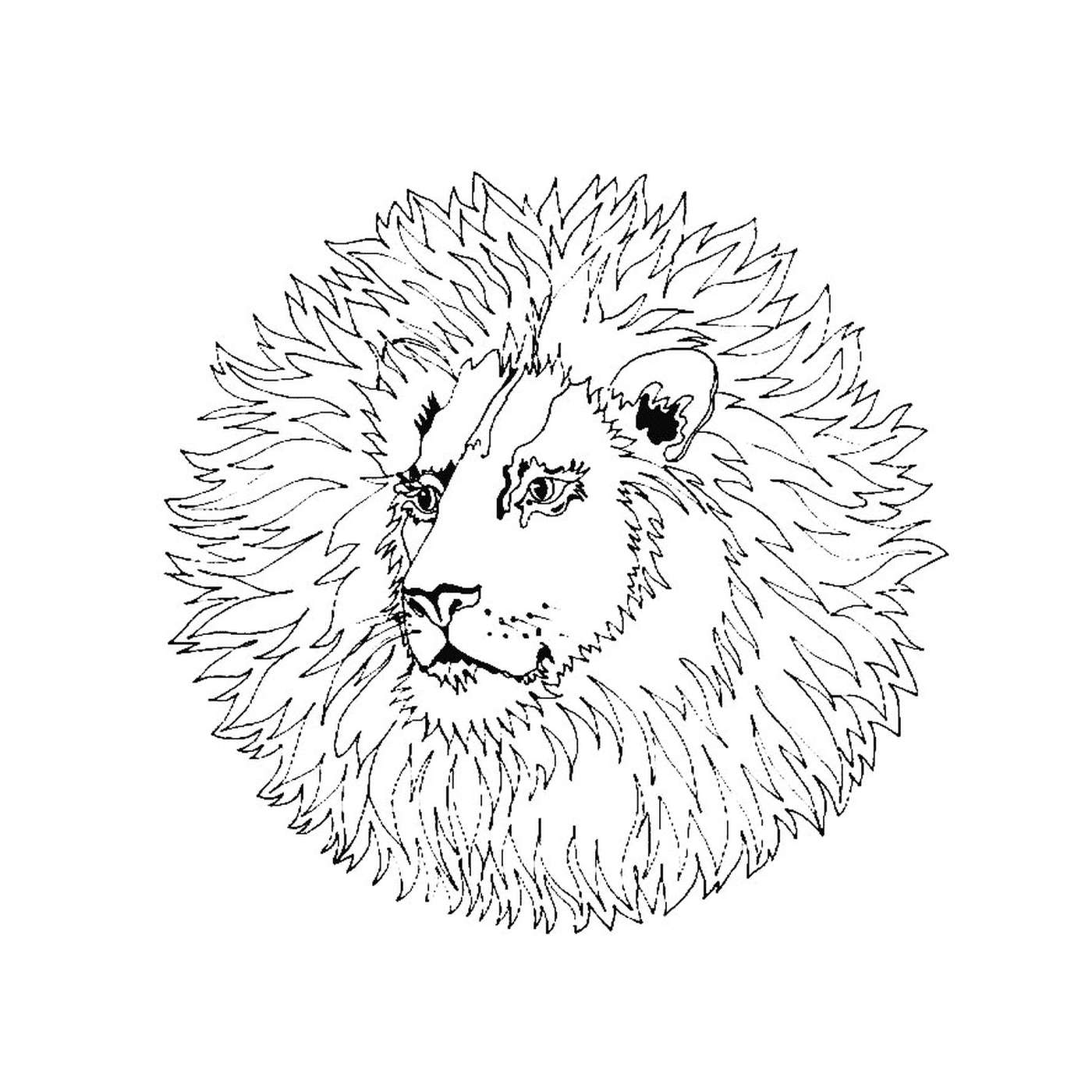 coloriage mandala simple lion sauvage