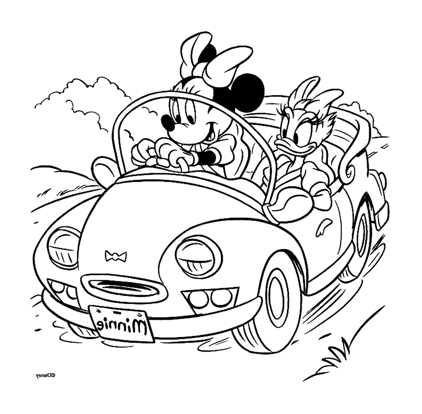 coloriage Daisy et Minnie en voiture