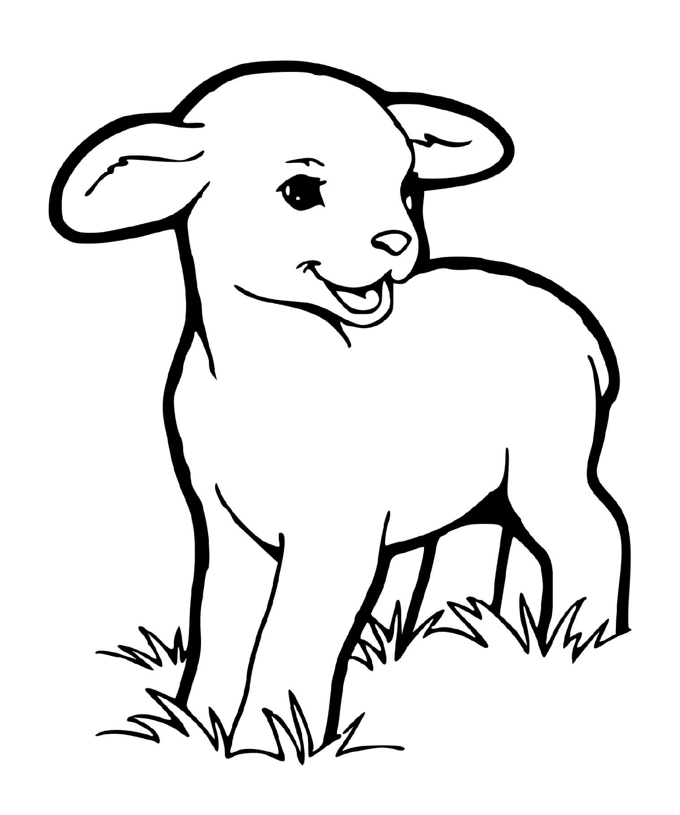 coloriage bebe mouton