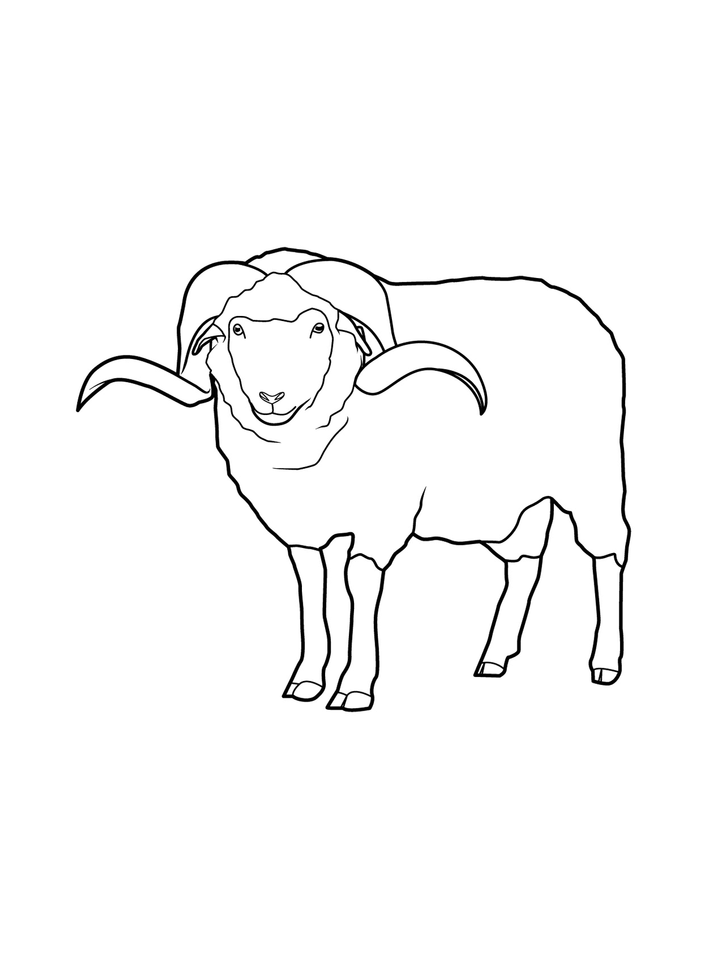 coloriage mouton pour la celebration de laid