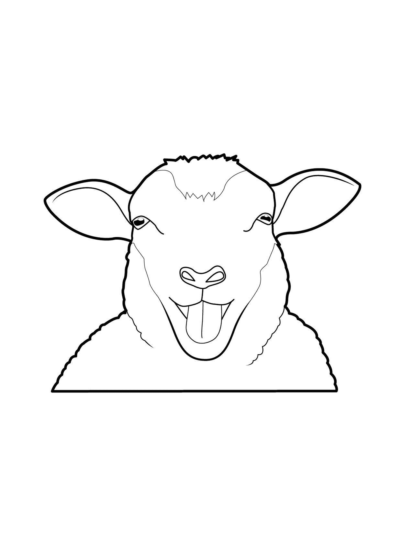 coloriage tete de mouton aid