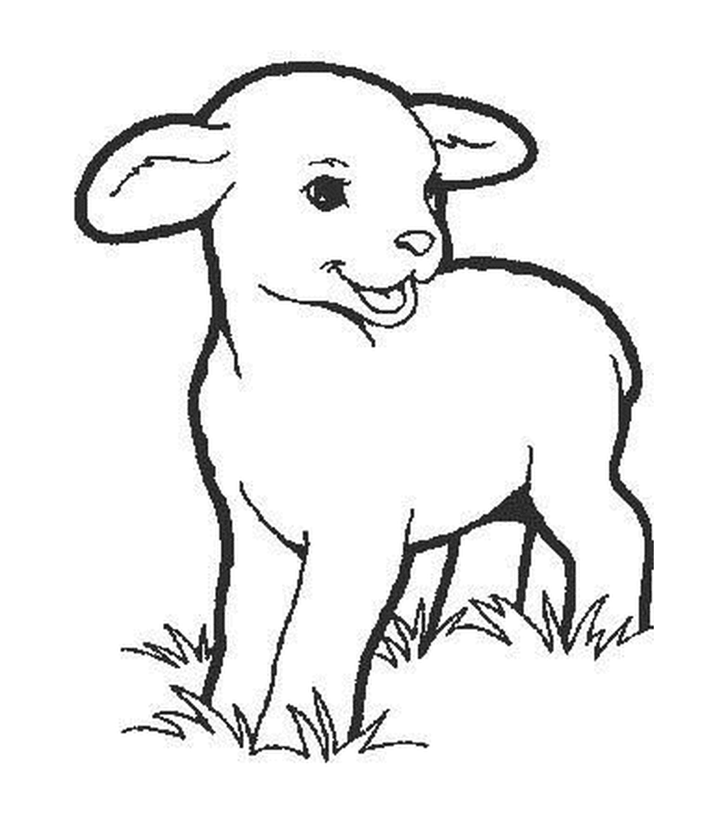 coloriage bebe mouton