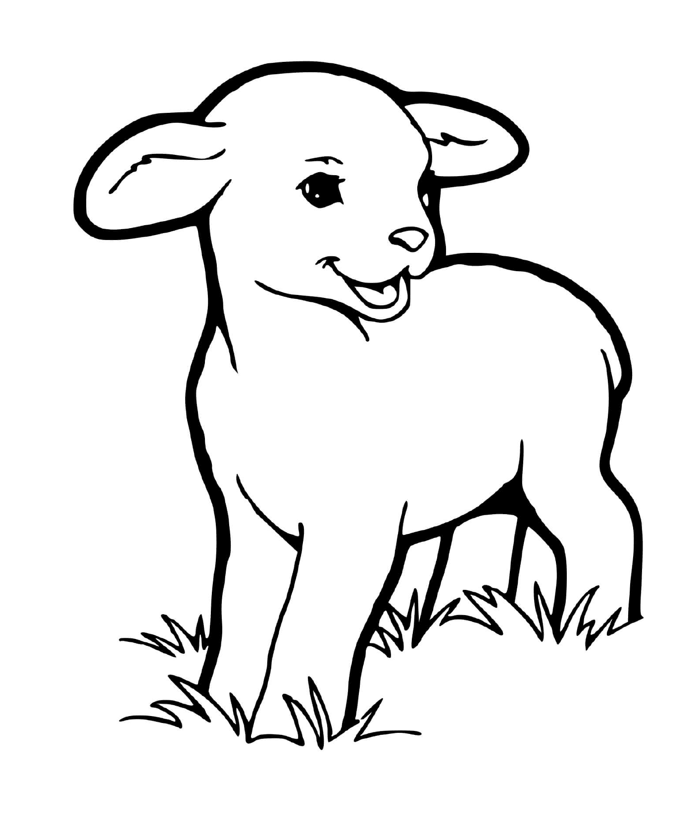 coloriage agneau le jeune mouton