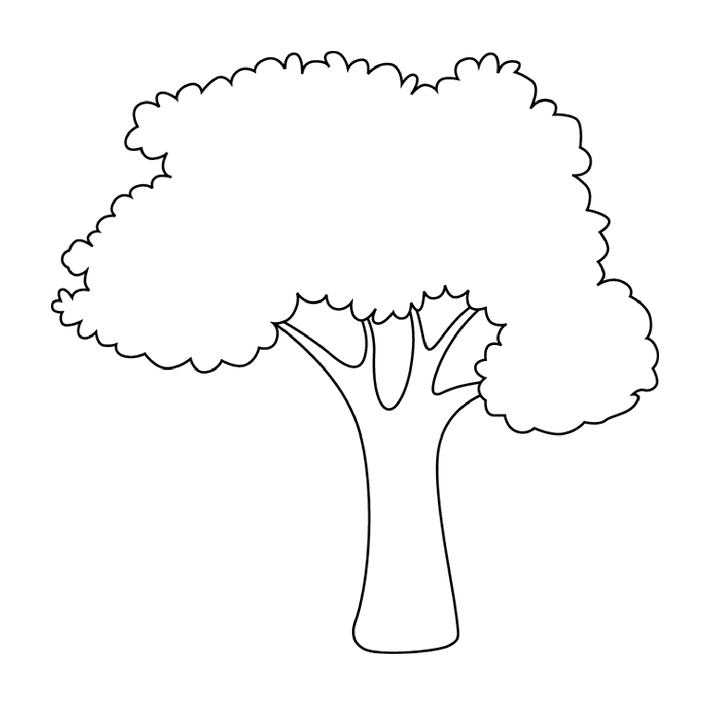 coloriage arbre simple facile nature