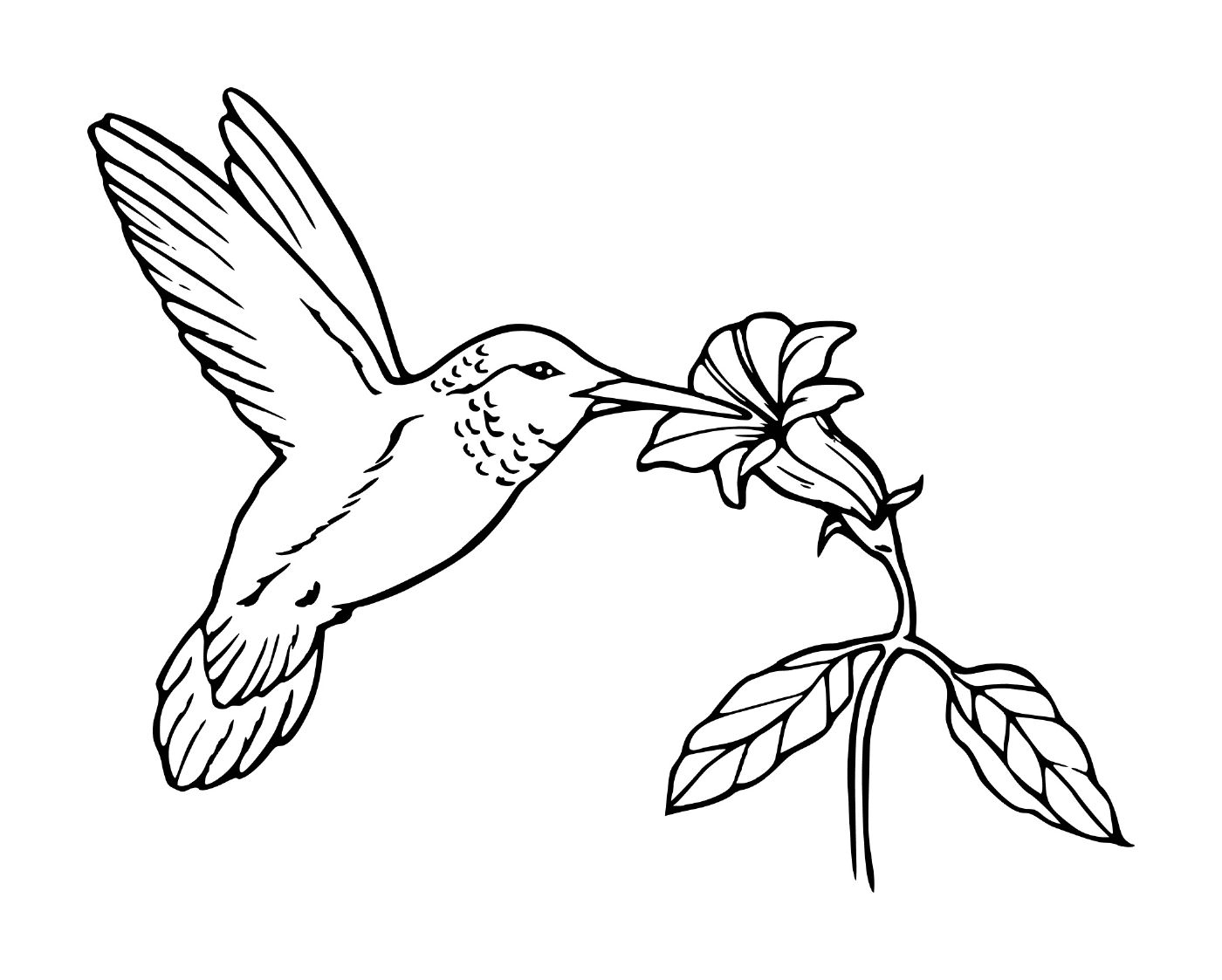 coloriage oiseau en vol nourriture fleur