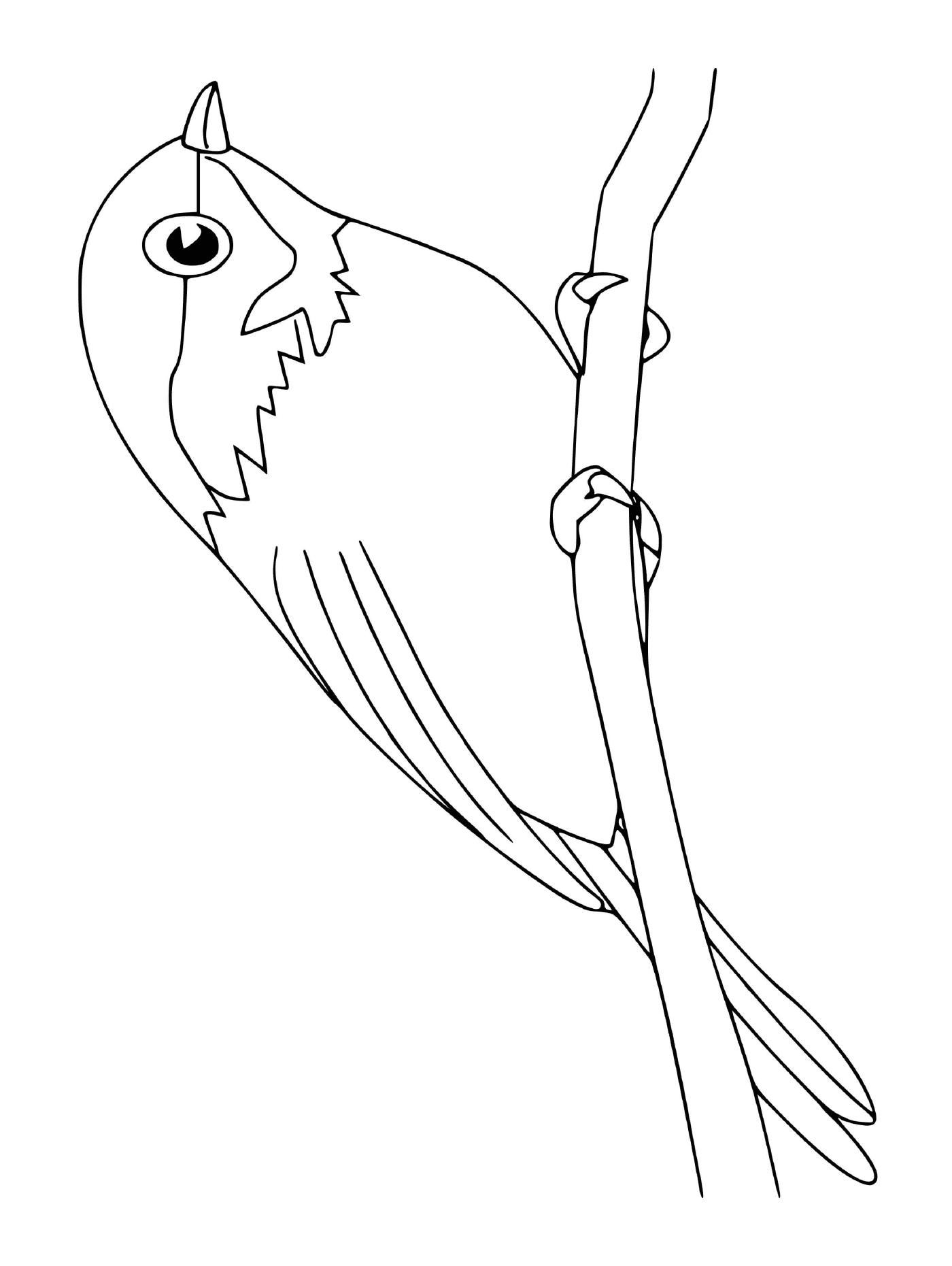 coloriage chickadee oiseau