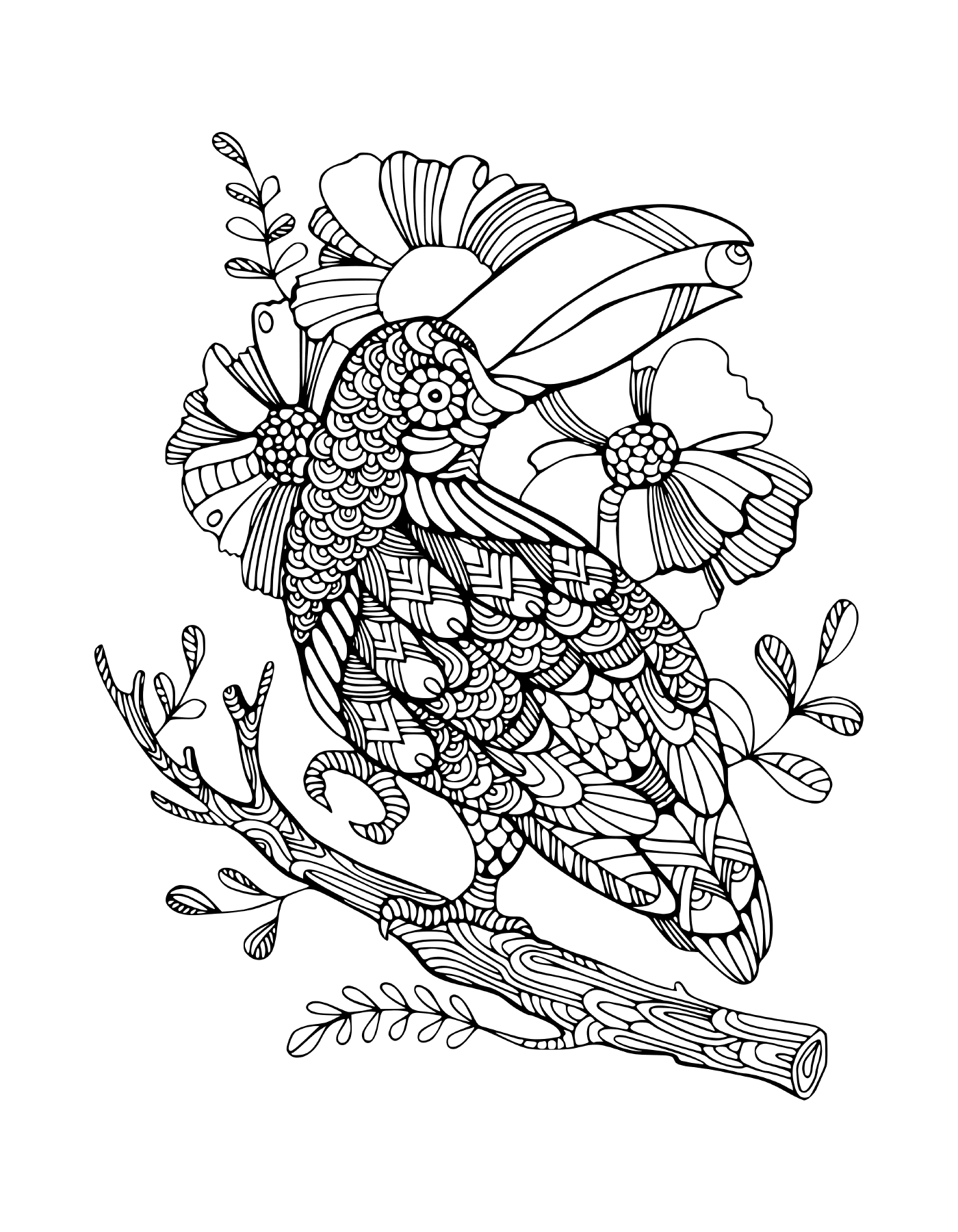 coloriage oiseau mandala toucan zentangle adulte