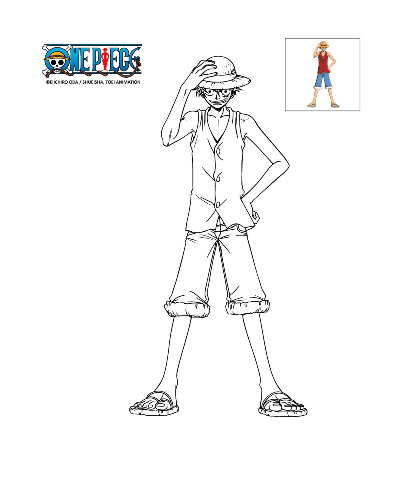 coloriage luffy one piece wanted
