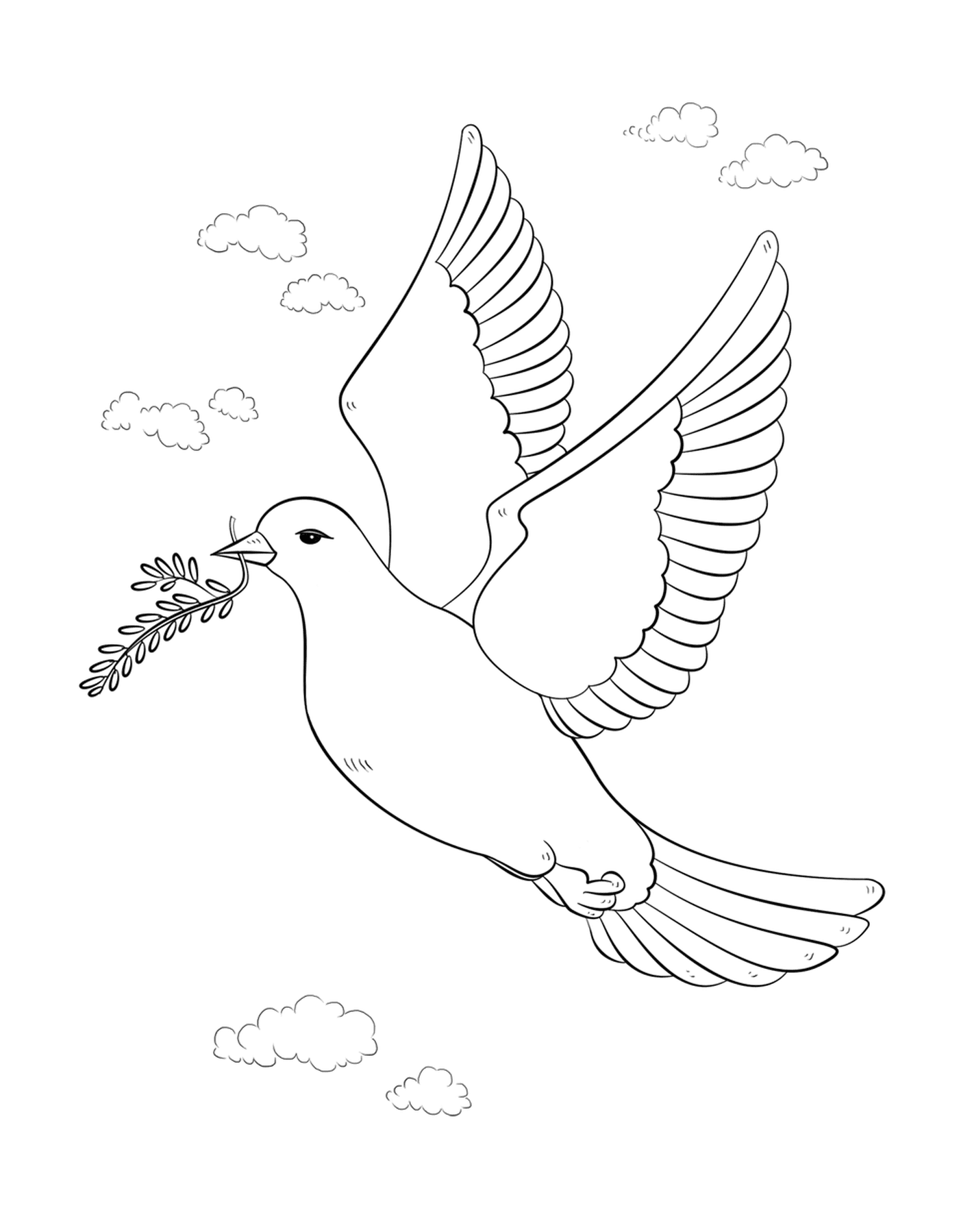 coloriage oiseau de la paix avec branche olive