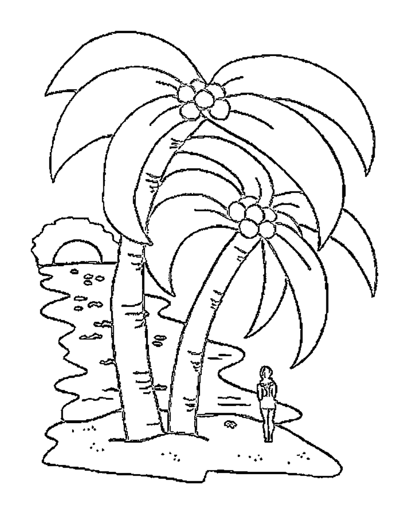 coloriage palmier 2 jolies palmiers