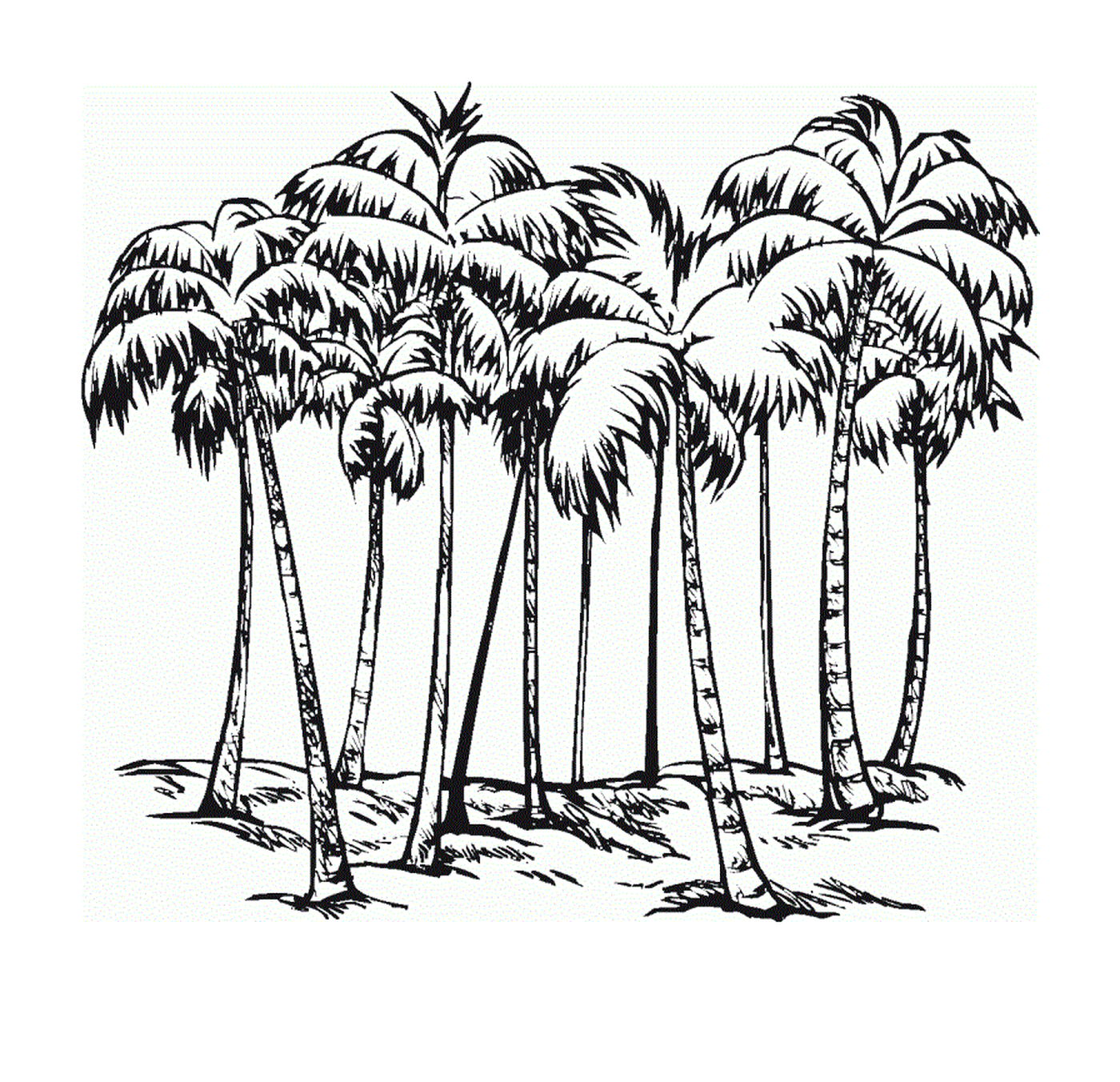 coloriage palmier difficile adulte