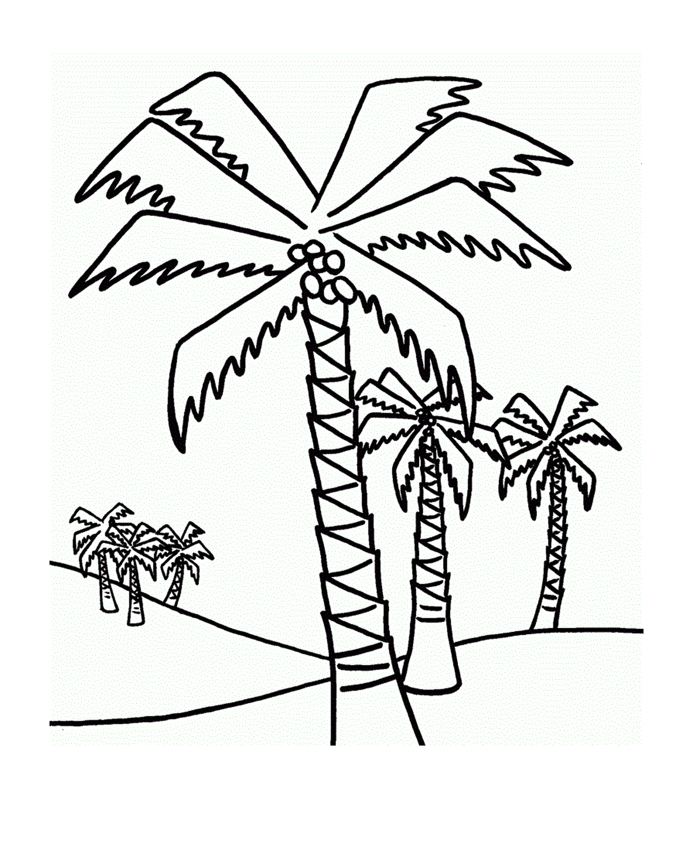 coloriage palmier plusieurs palmiers