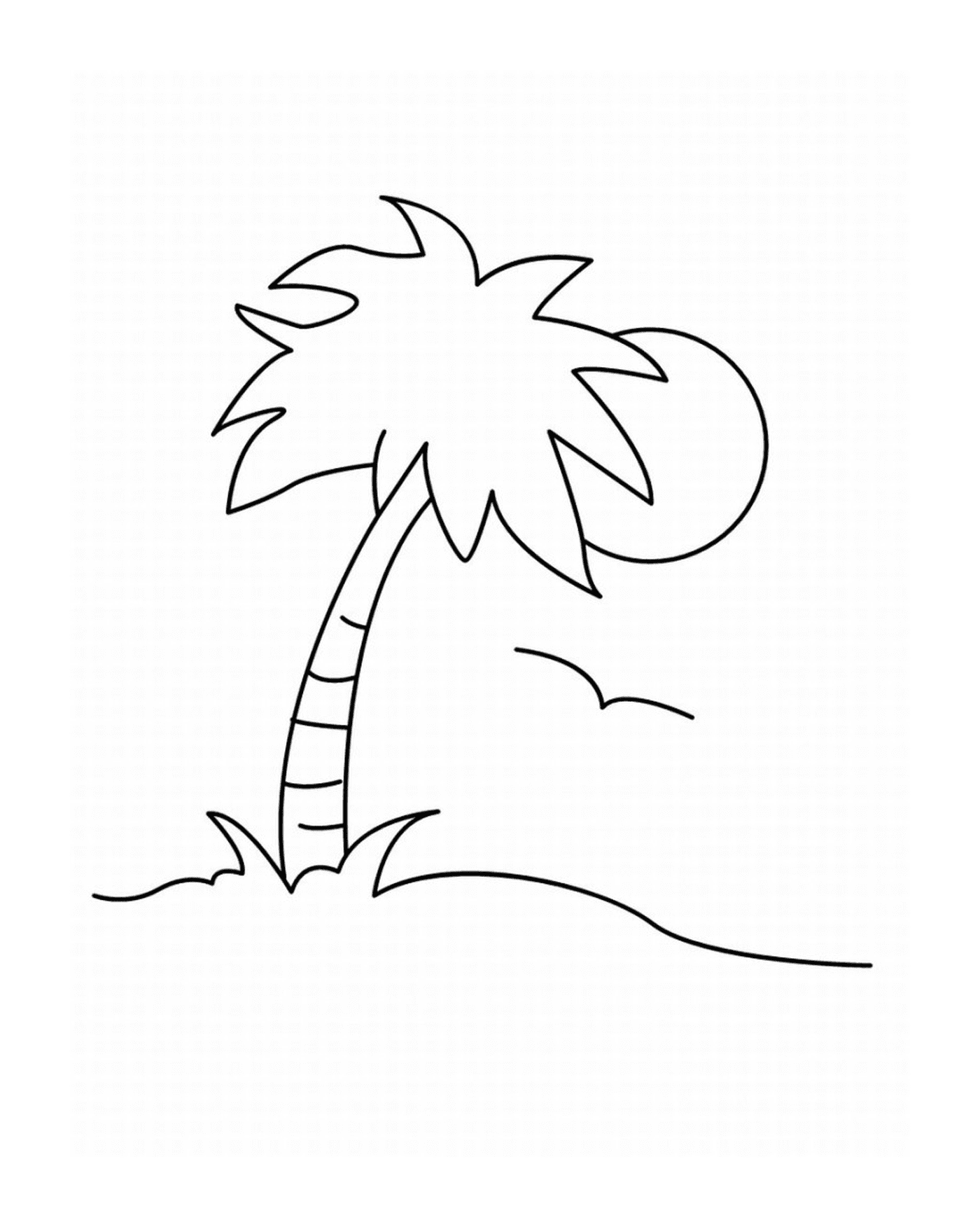 coloriage palmier simple facile