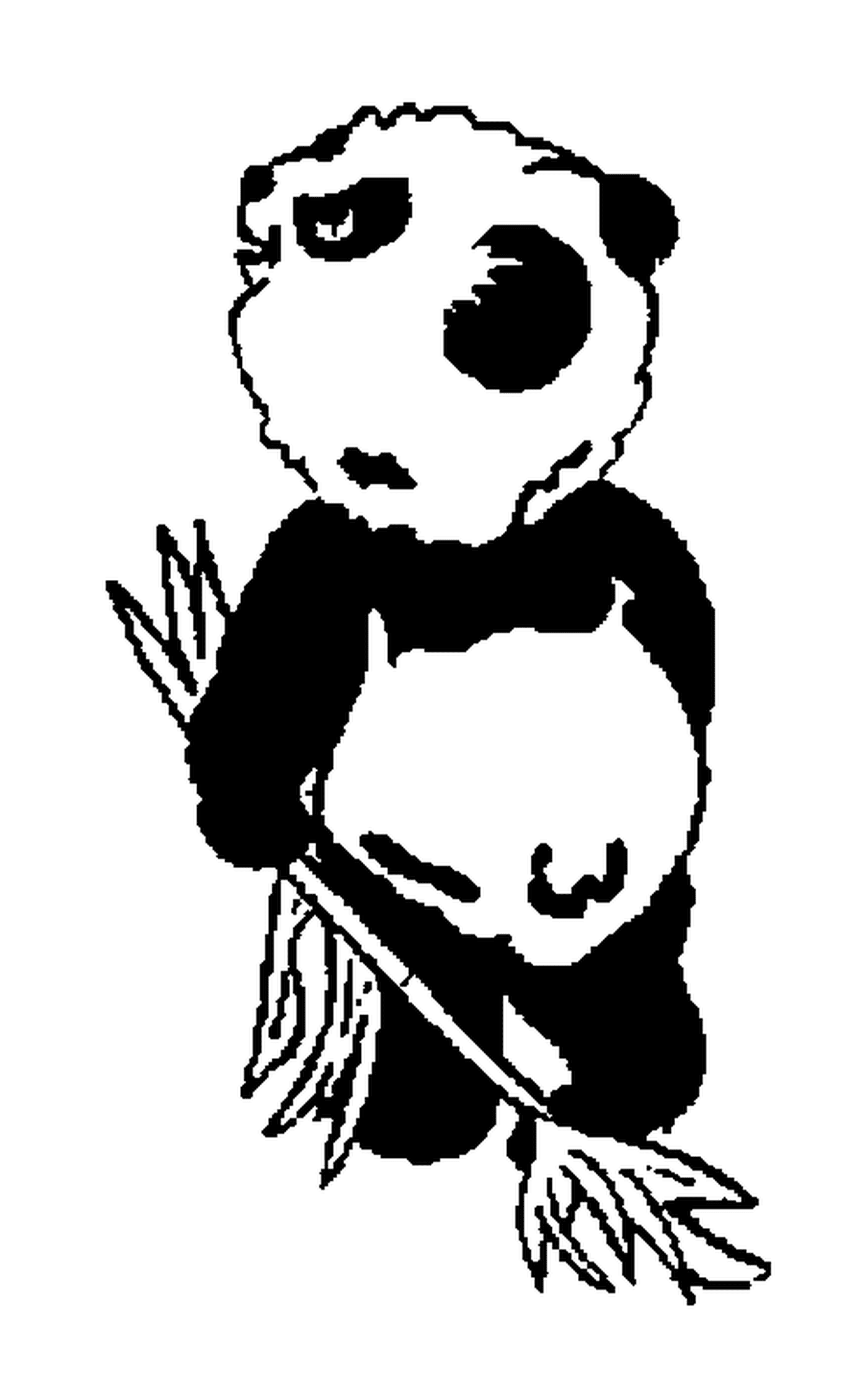 panda debout