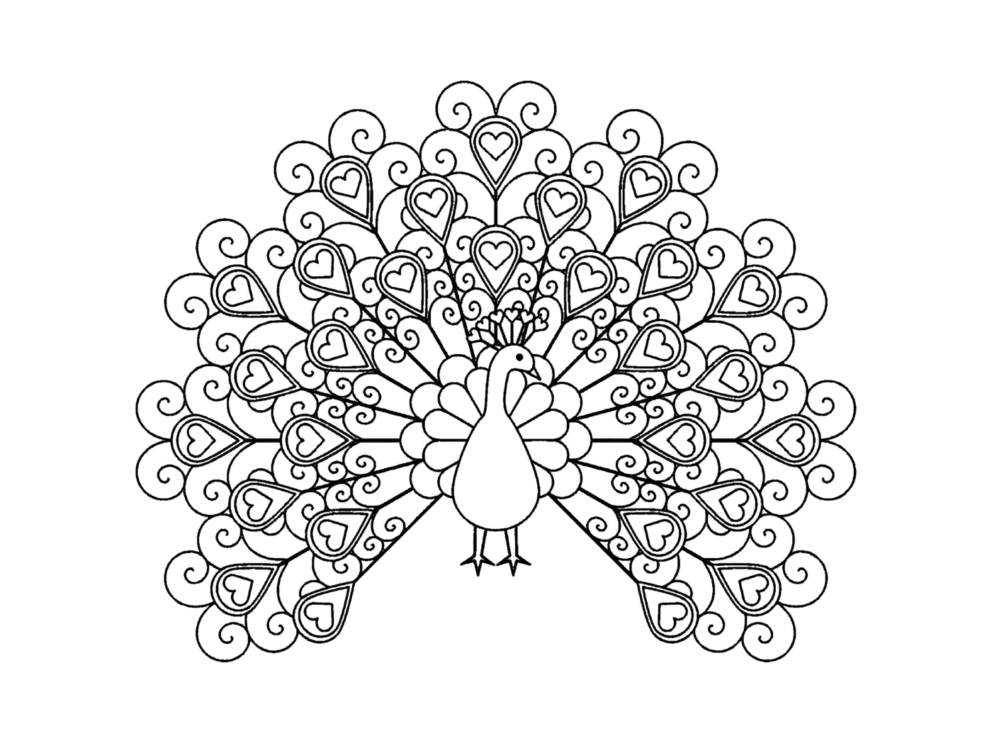 coloriage paon oiseau forme de coeurs