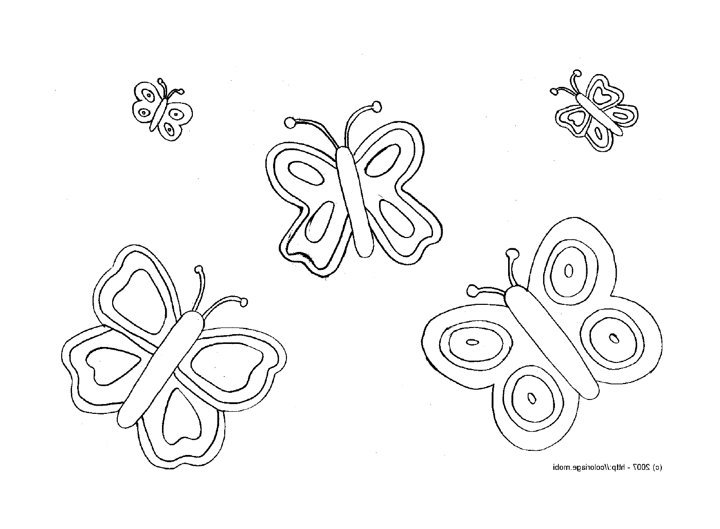coloriage papillon 114