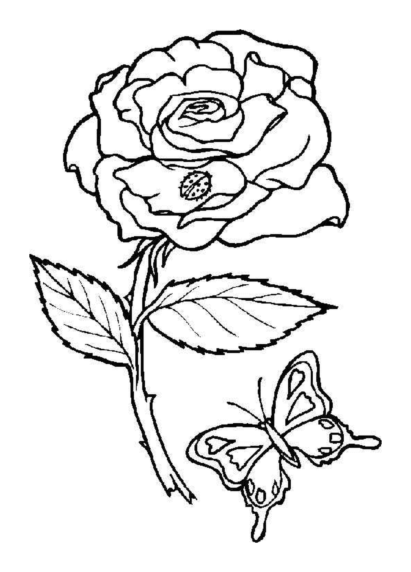 coloriage rose et papillon