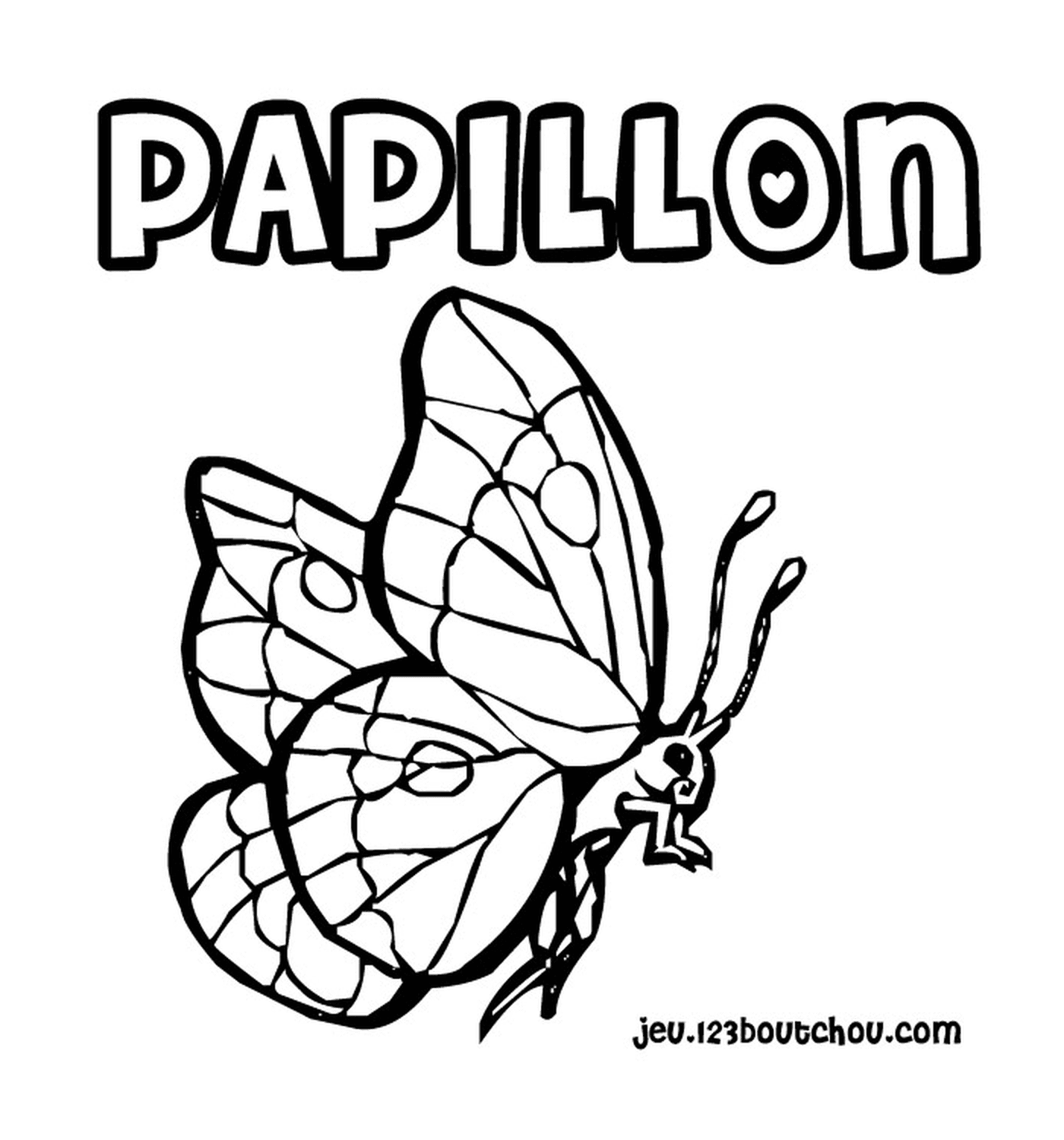 papillon 119