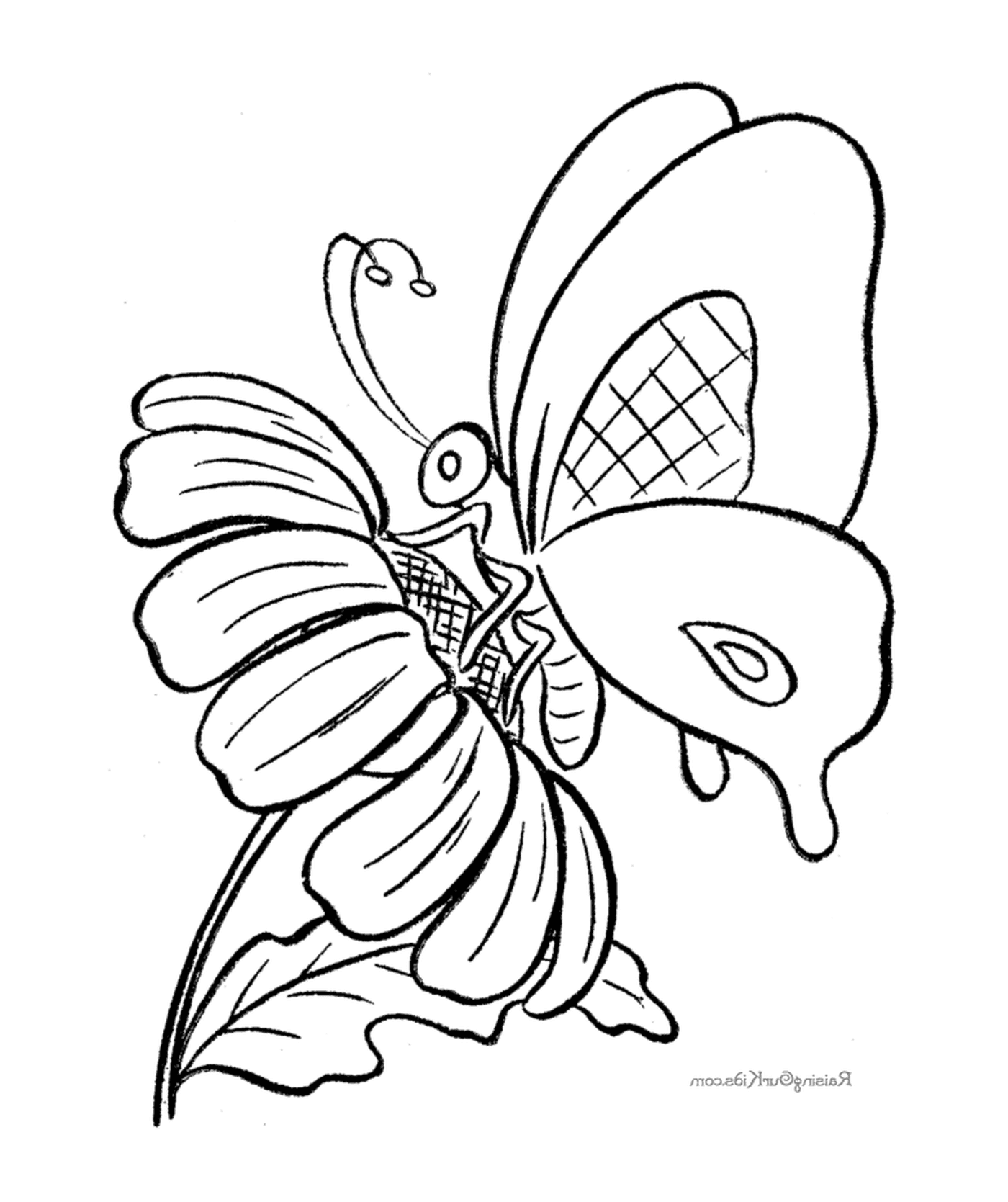 coloriage papillon 132