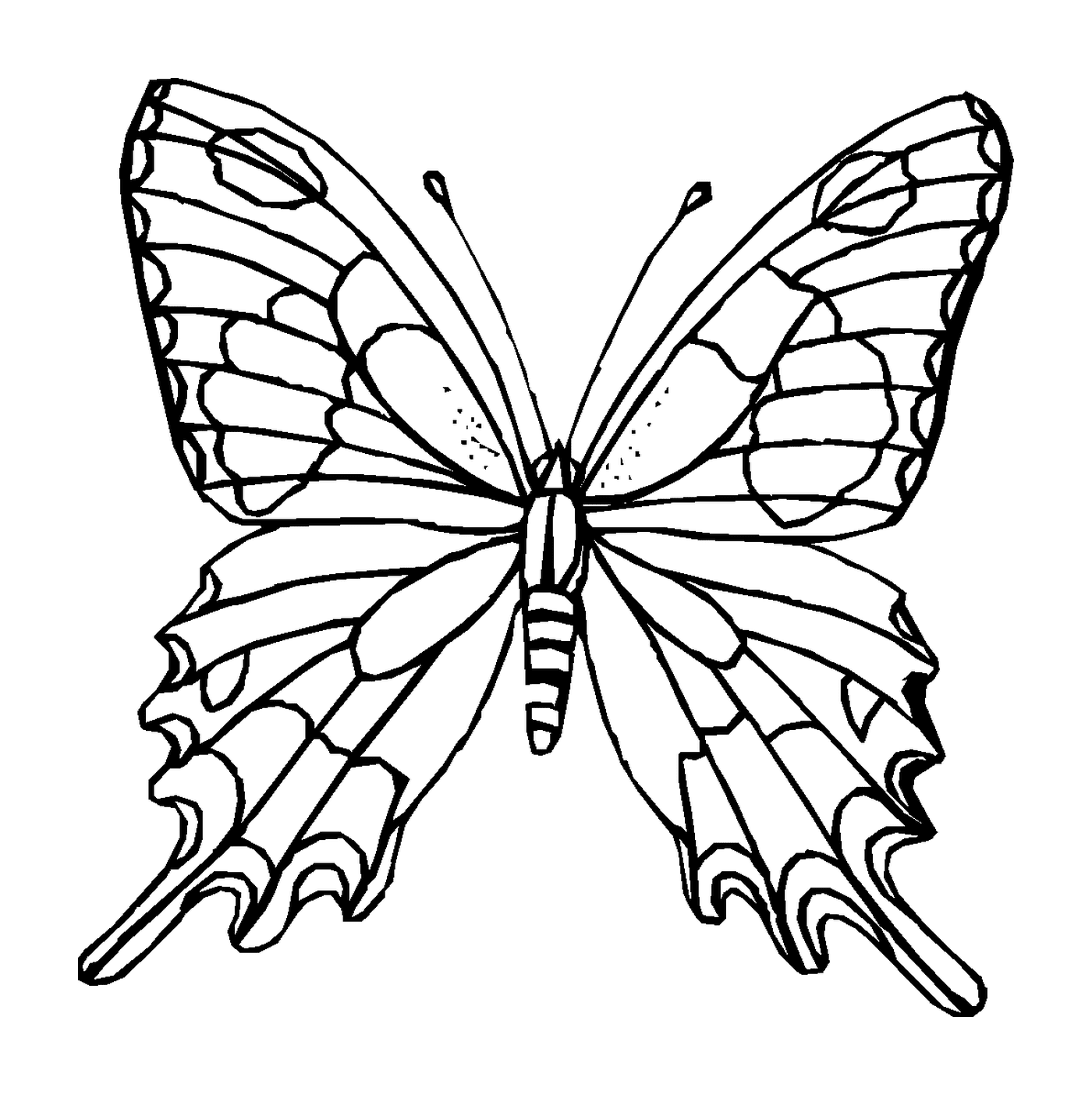 coloriage papillon 22