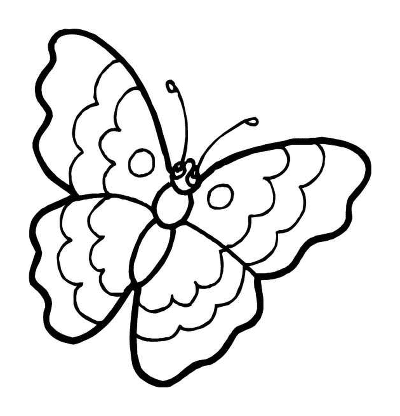 coloriage papillon 3