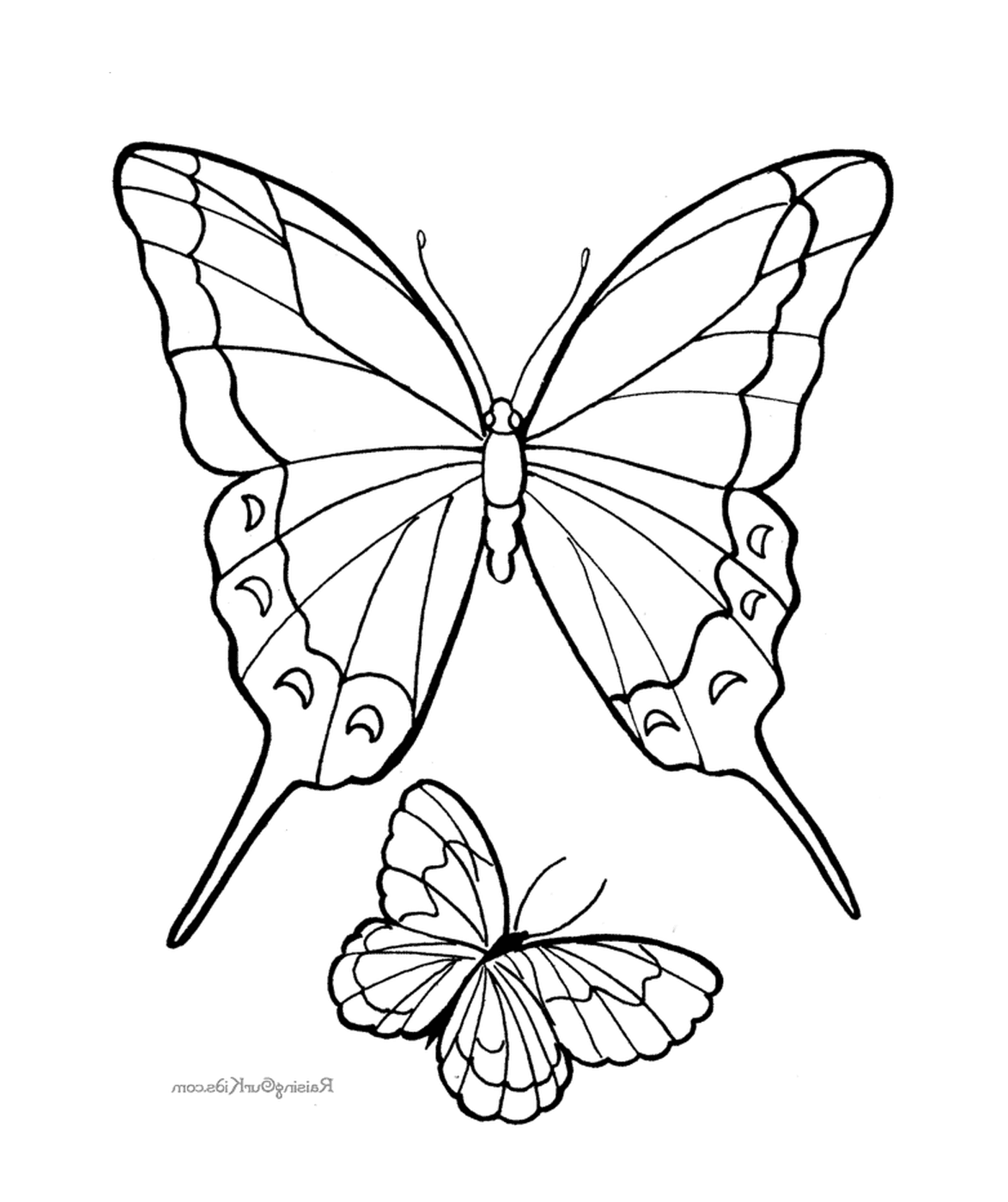 coloriage papillon 295