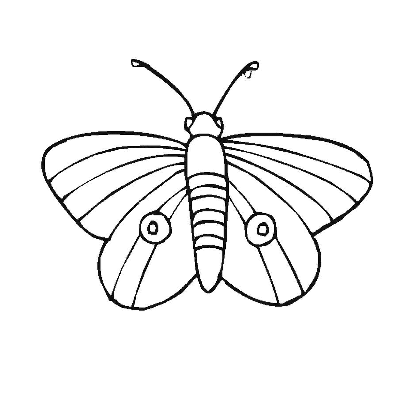 coloriage papillon 89