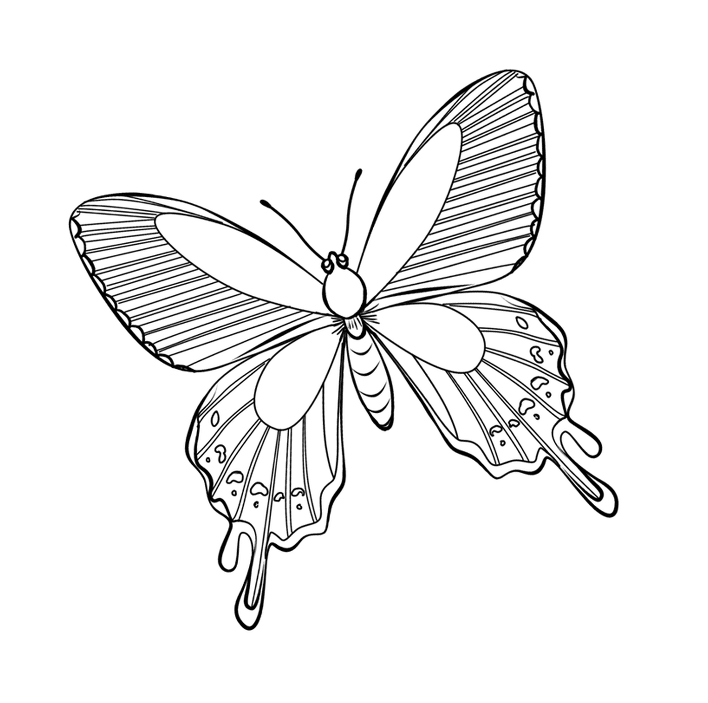 coloriage papillon 98