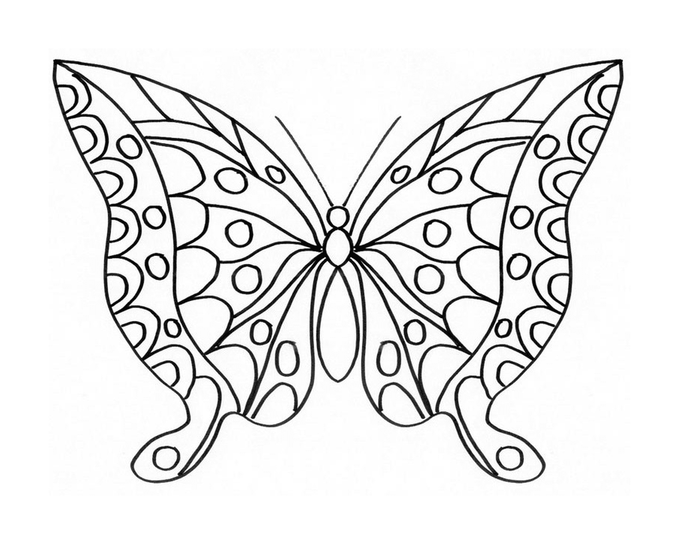 coloriage papillon 2