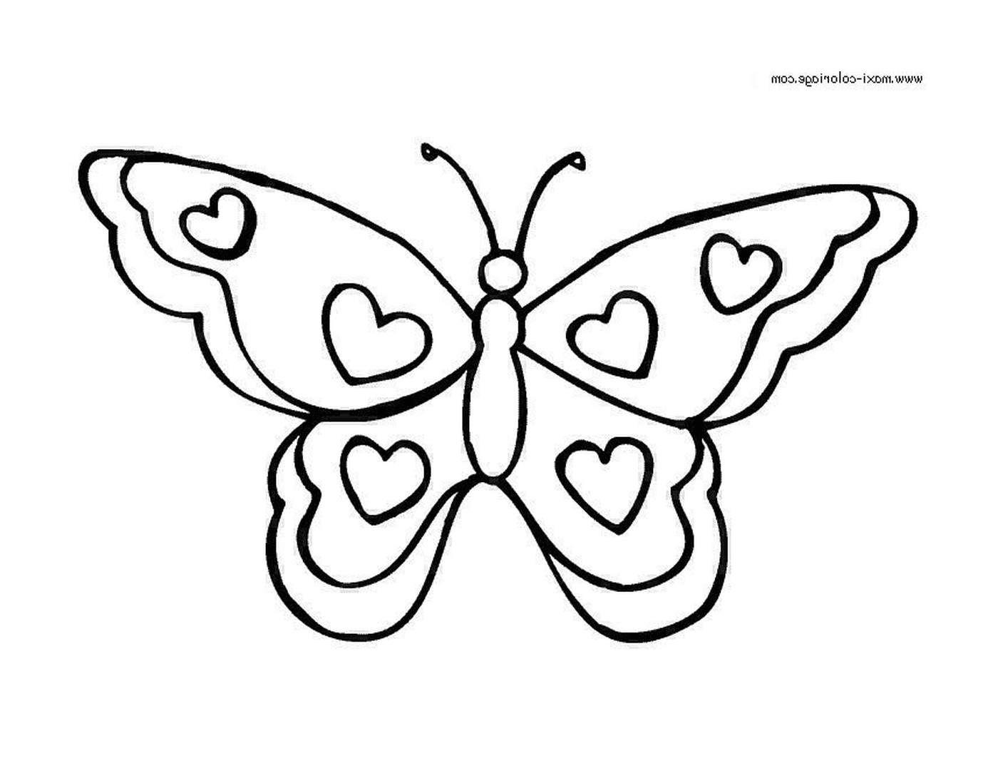 coloriage papillon 30