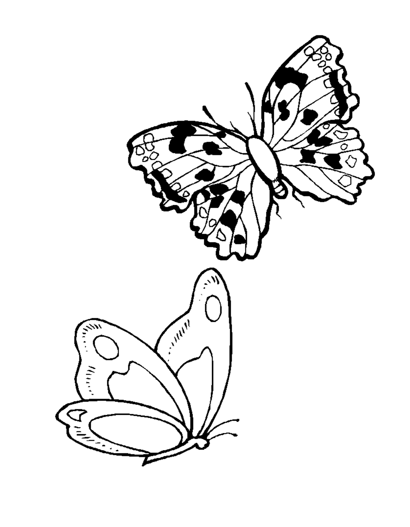 coloriage papillon 195
