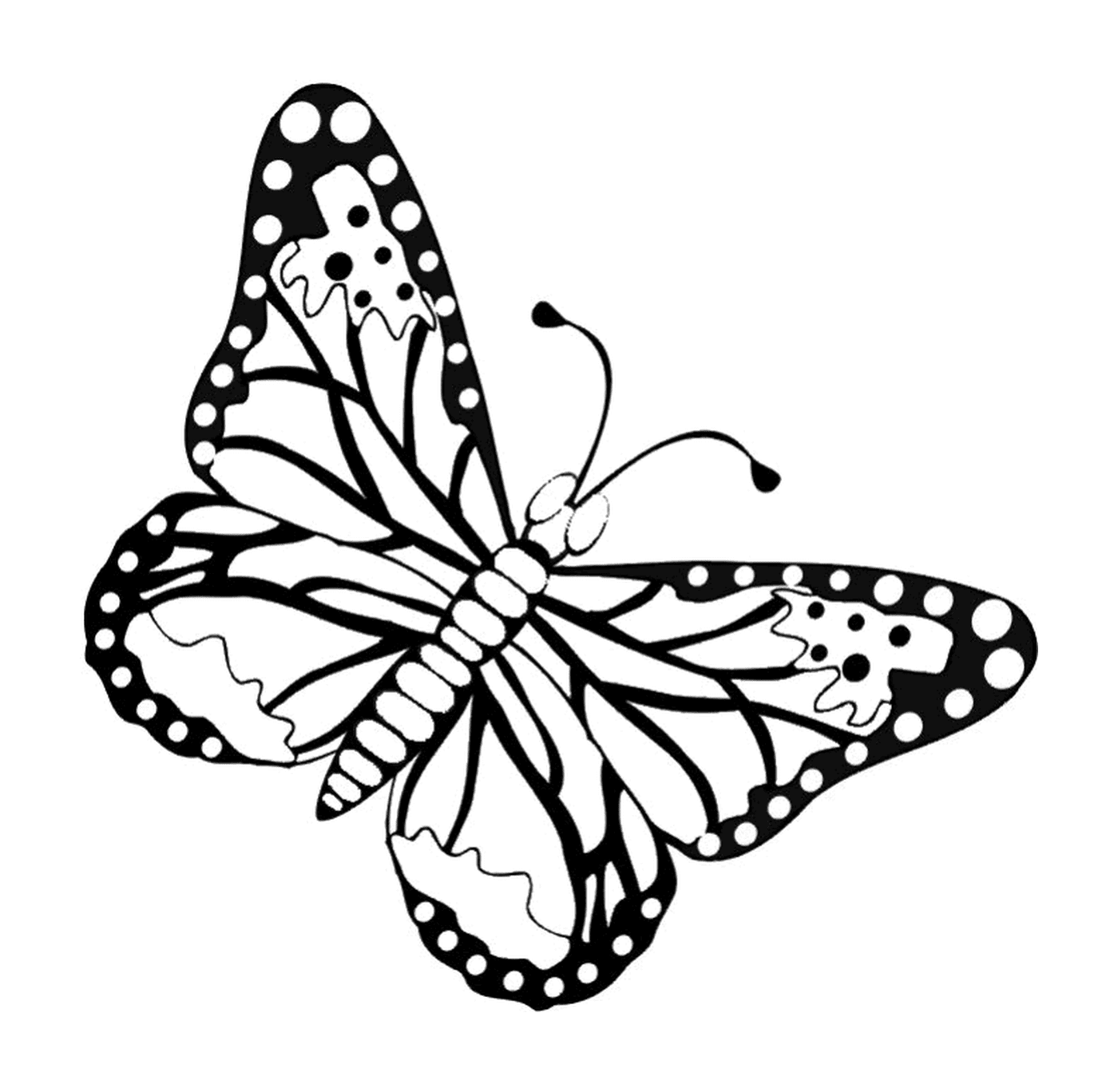 coloriage papillon 76