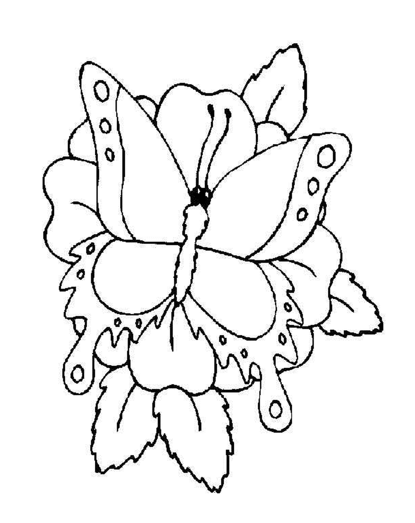papillon sur 1 fleur
