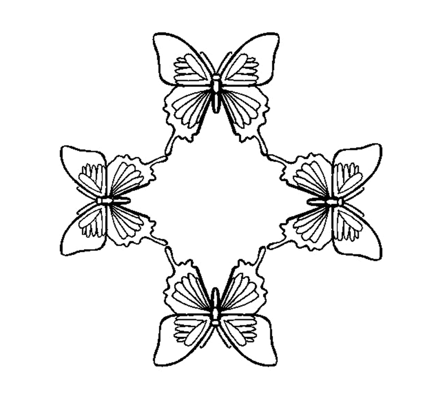 coloriage papillon 1