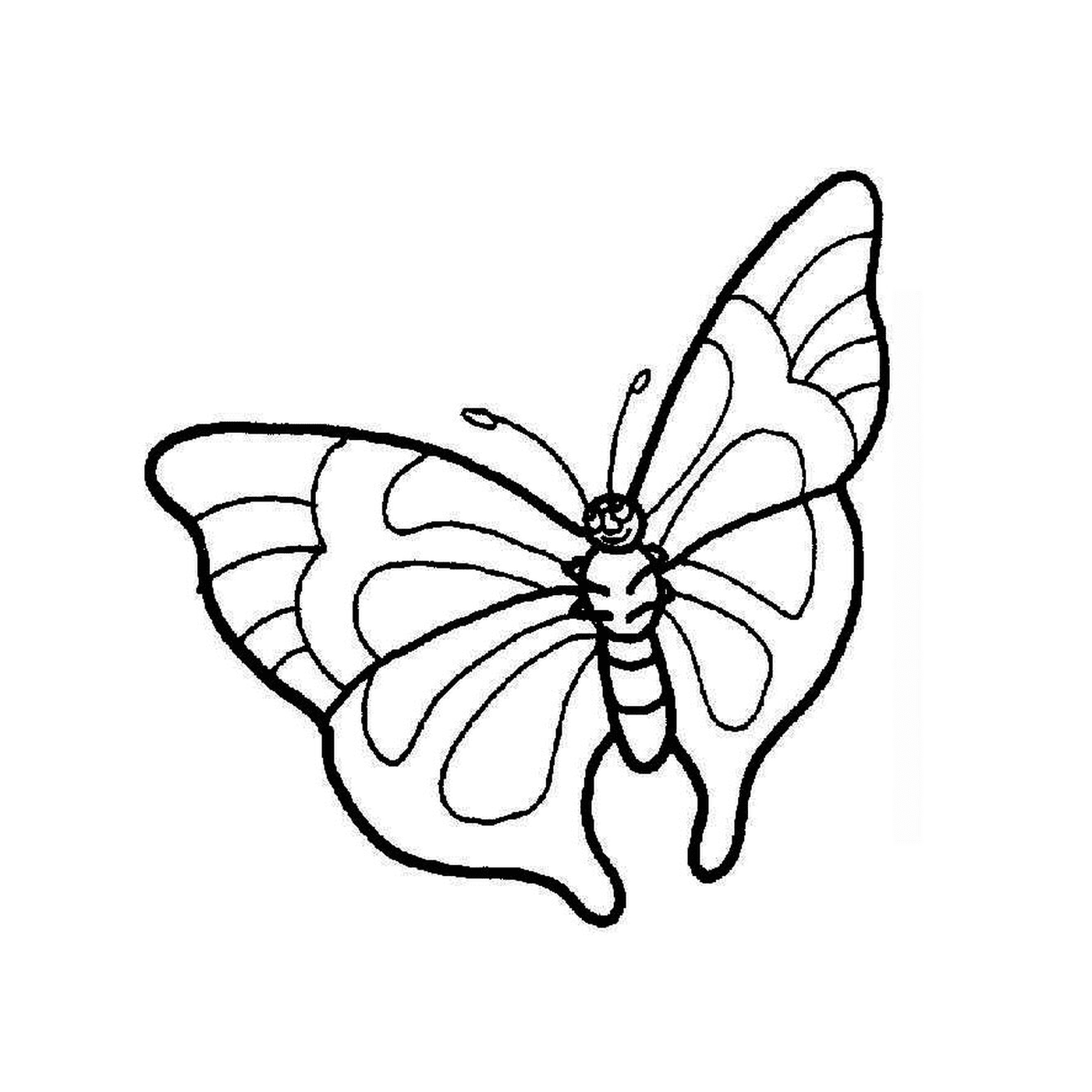 coloriage papillon 113