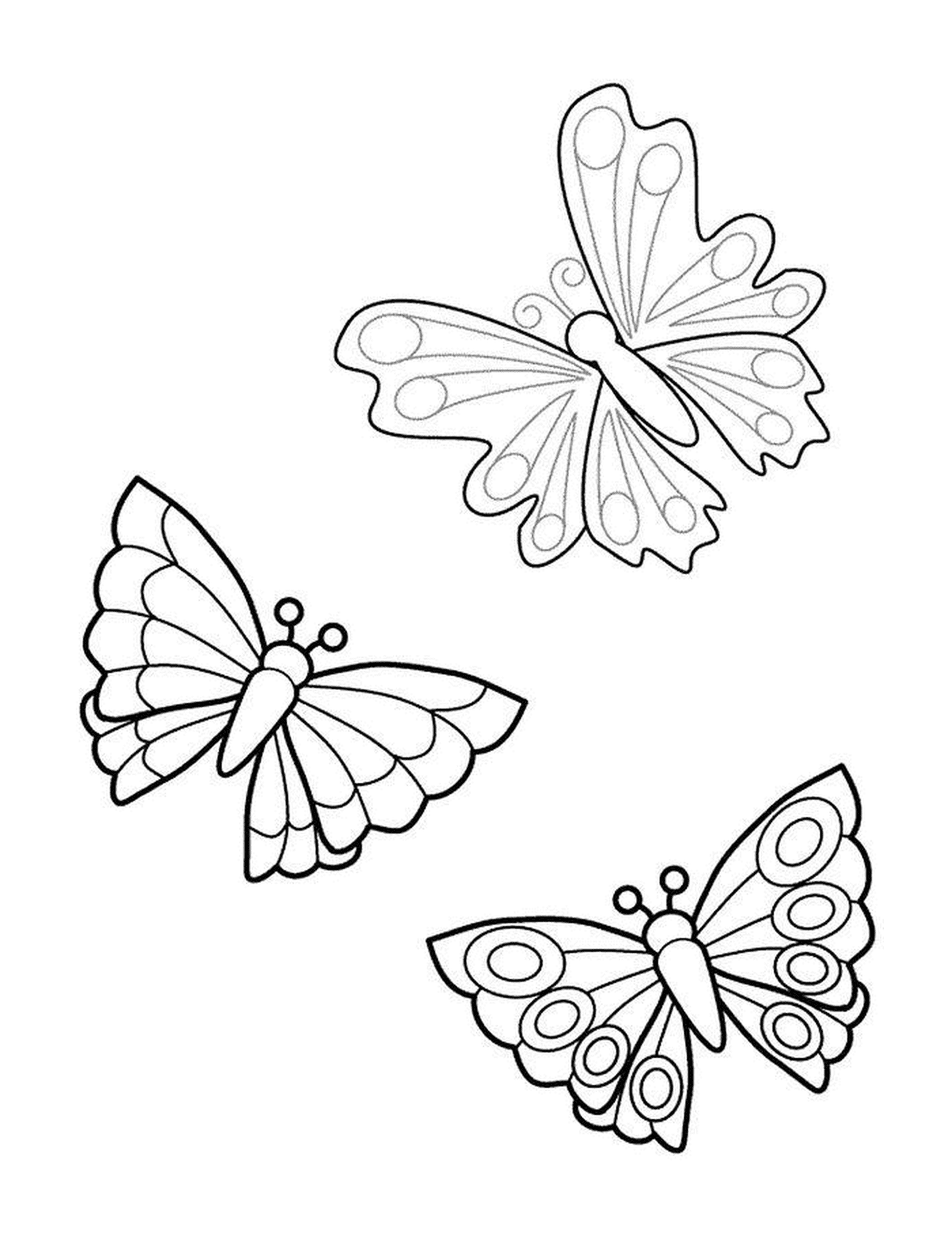 coloriage trois papillons