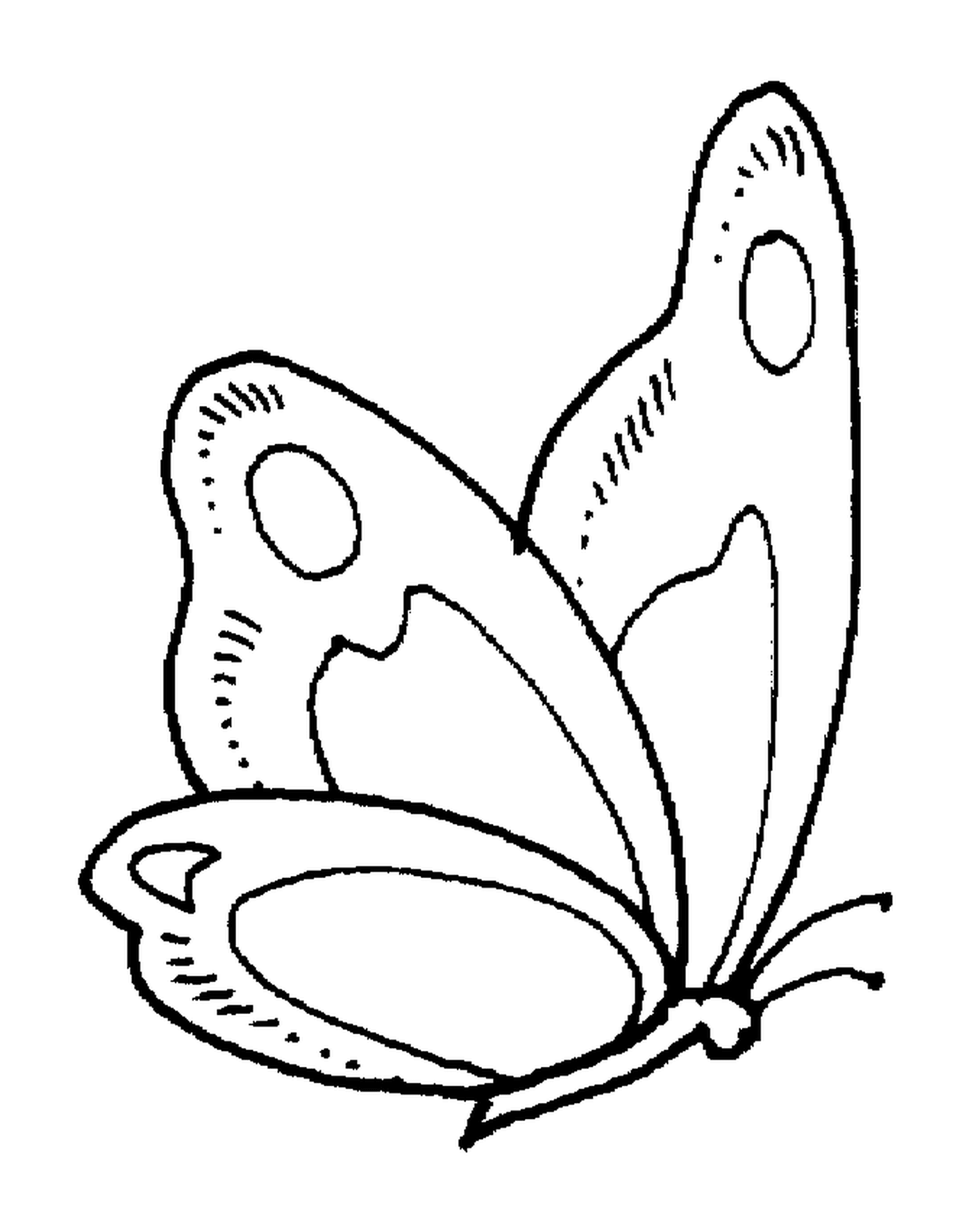 coloriage papillon 4