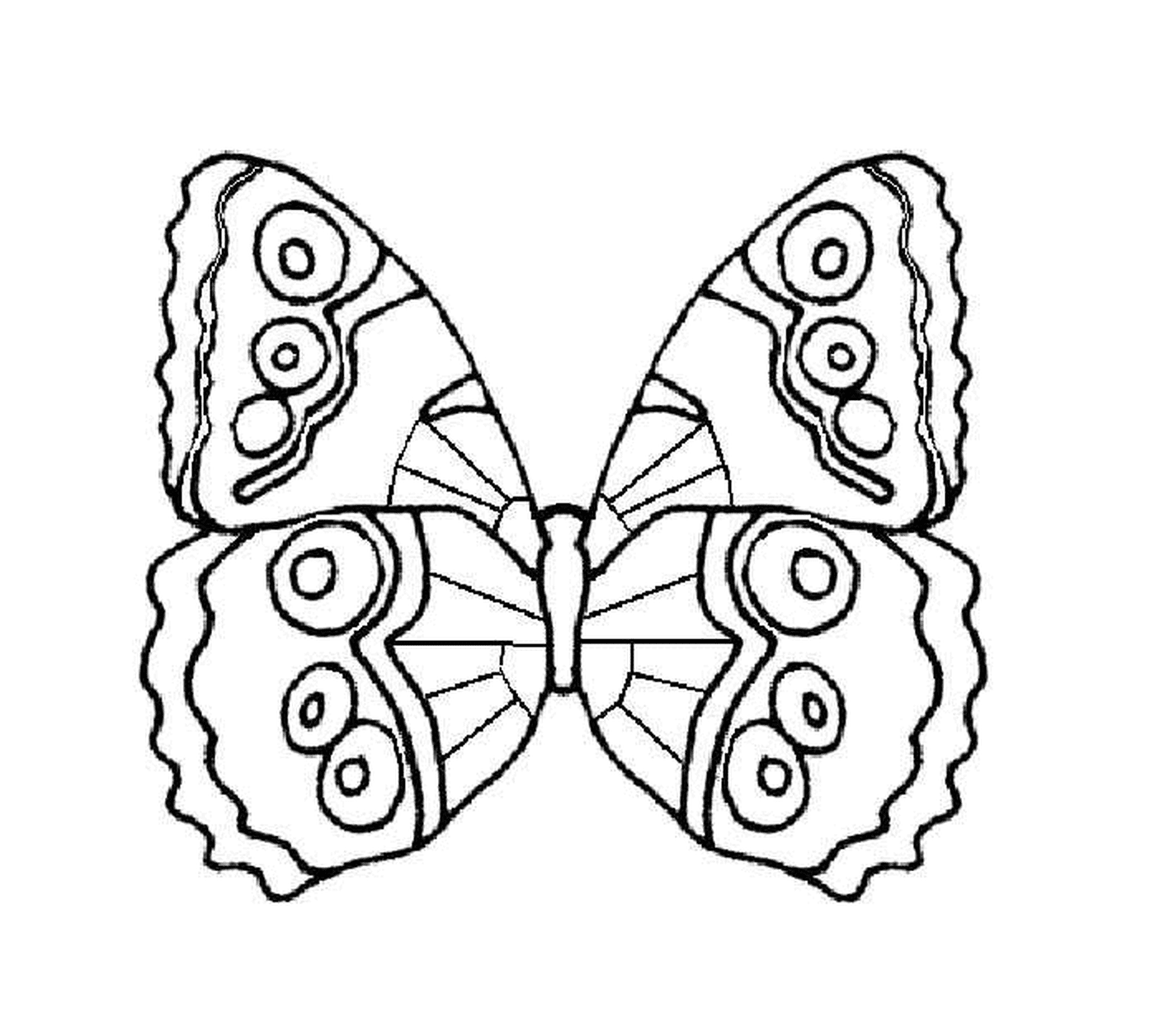 coloriage papillon vue de dessus 2